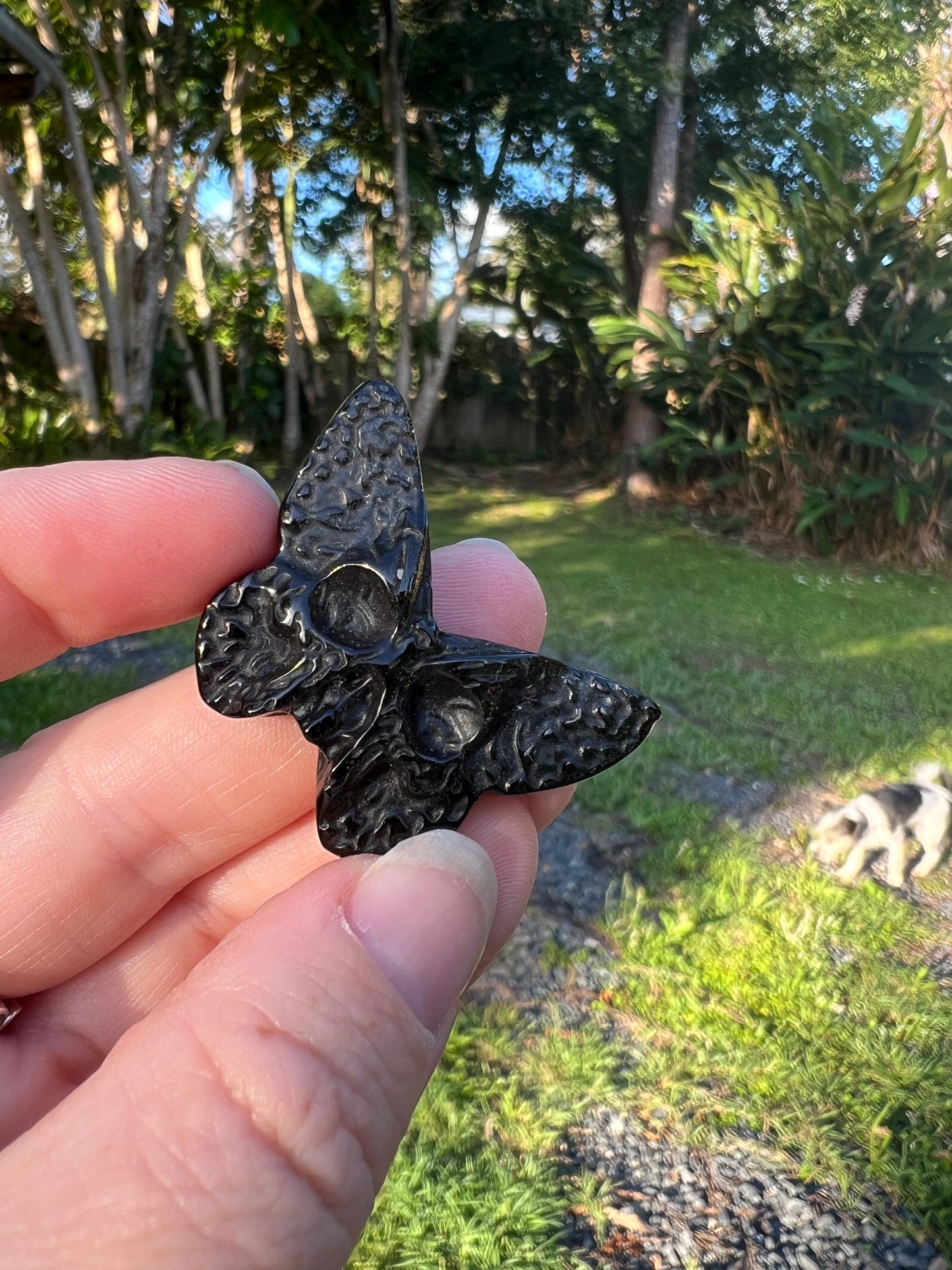 Black Obsidian Butterfly