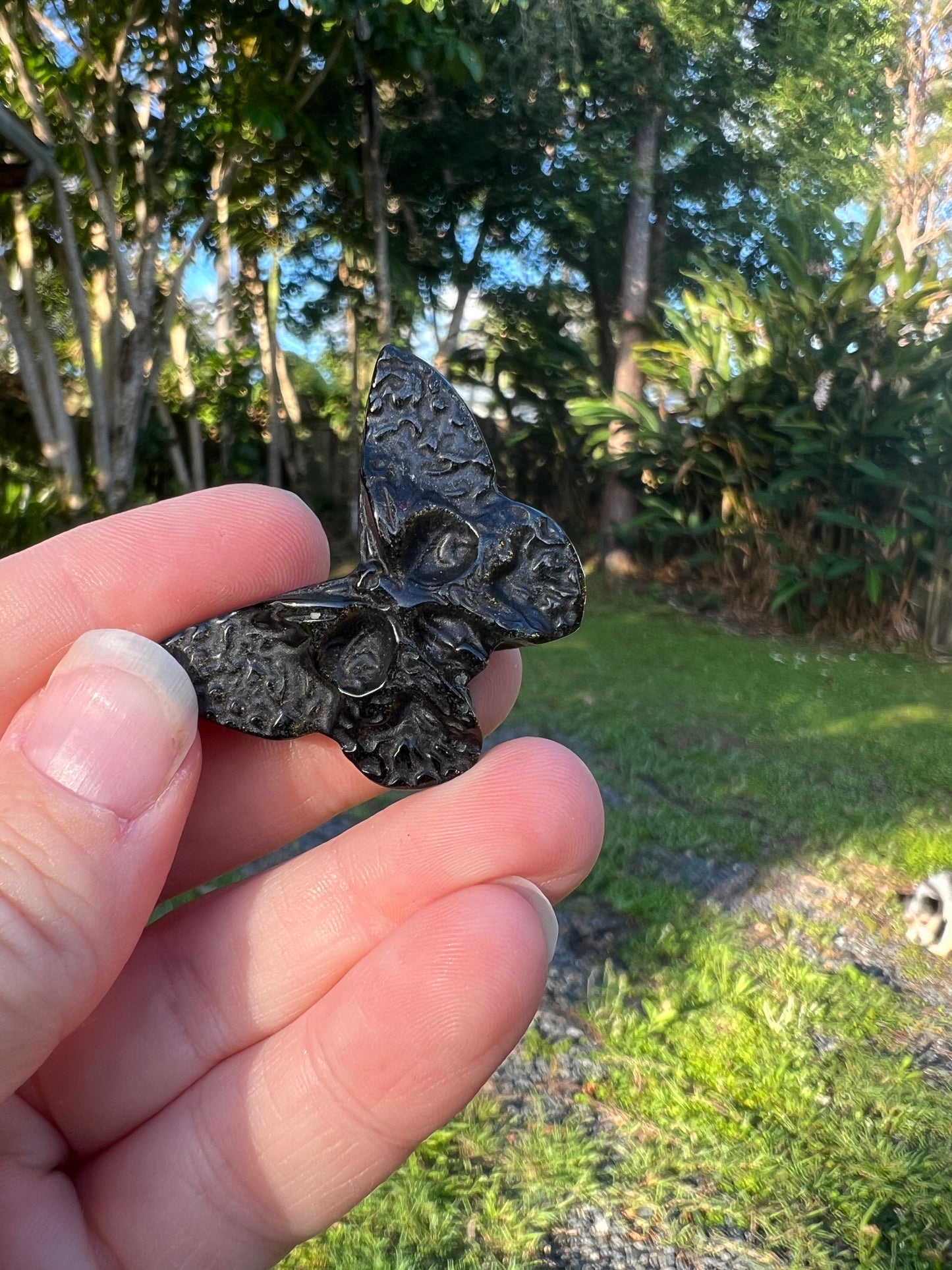 Black Obsidian Butterfly