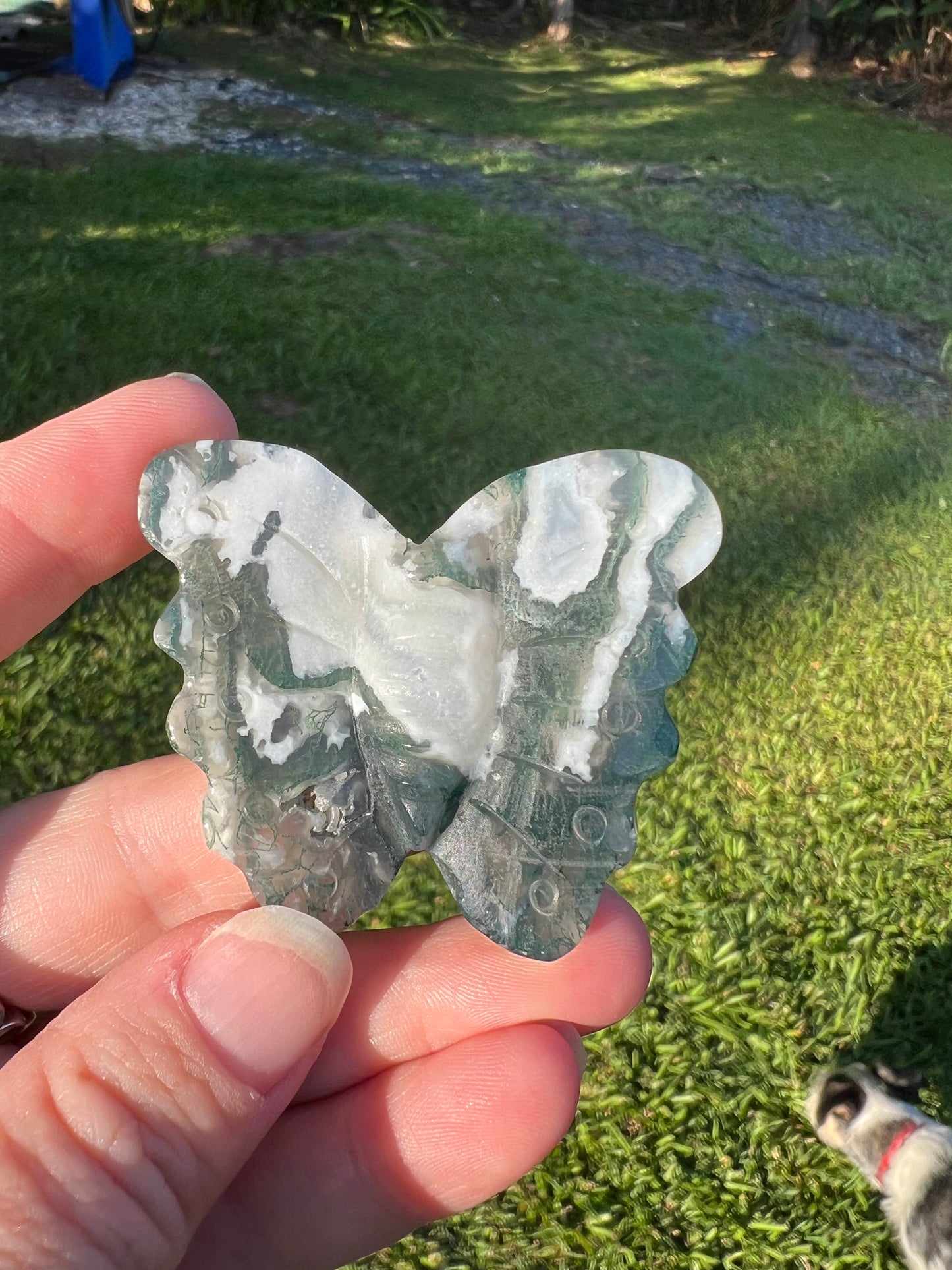 MOSS AGATE BUTTERFLY