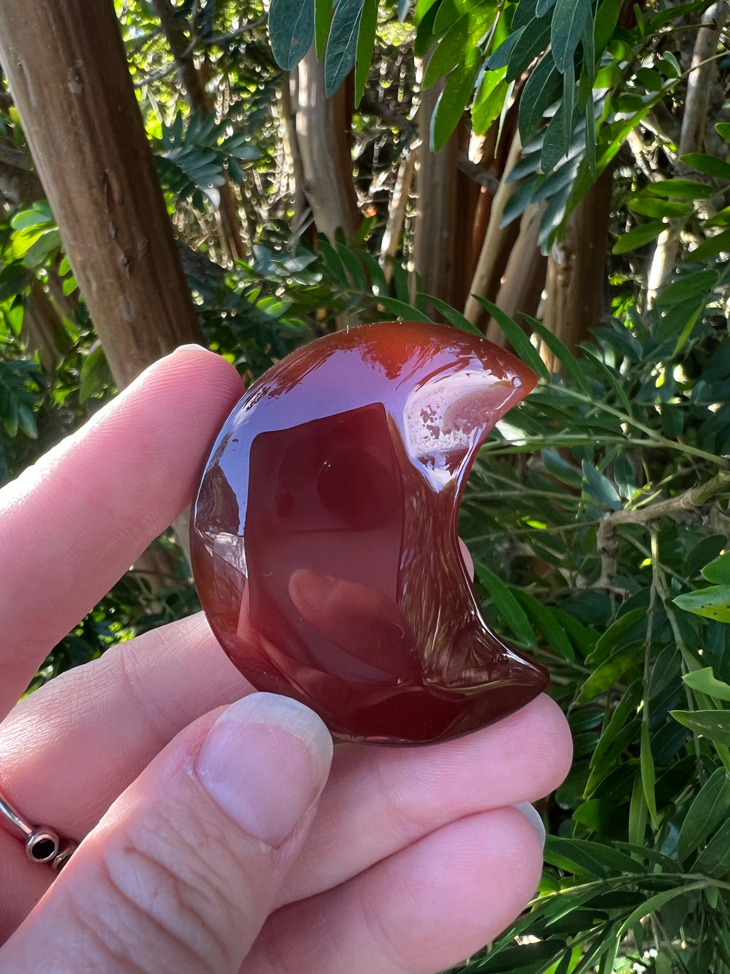 Carnelian Moon
