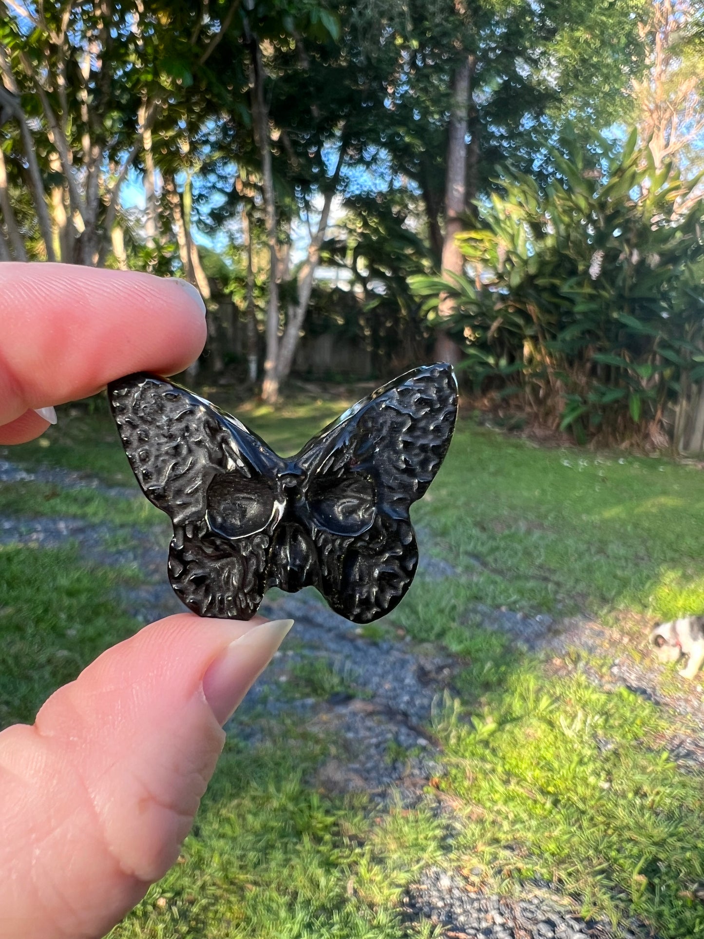 Black Obsidian Butterfly