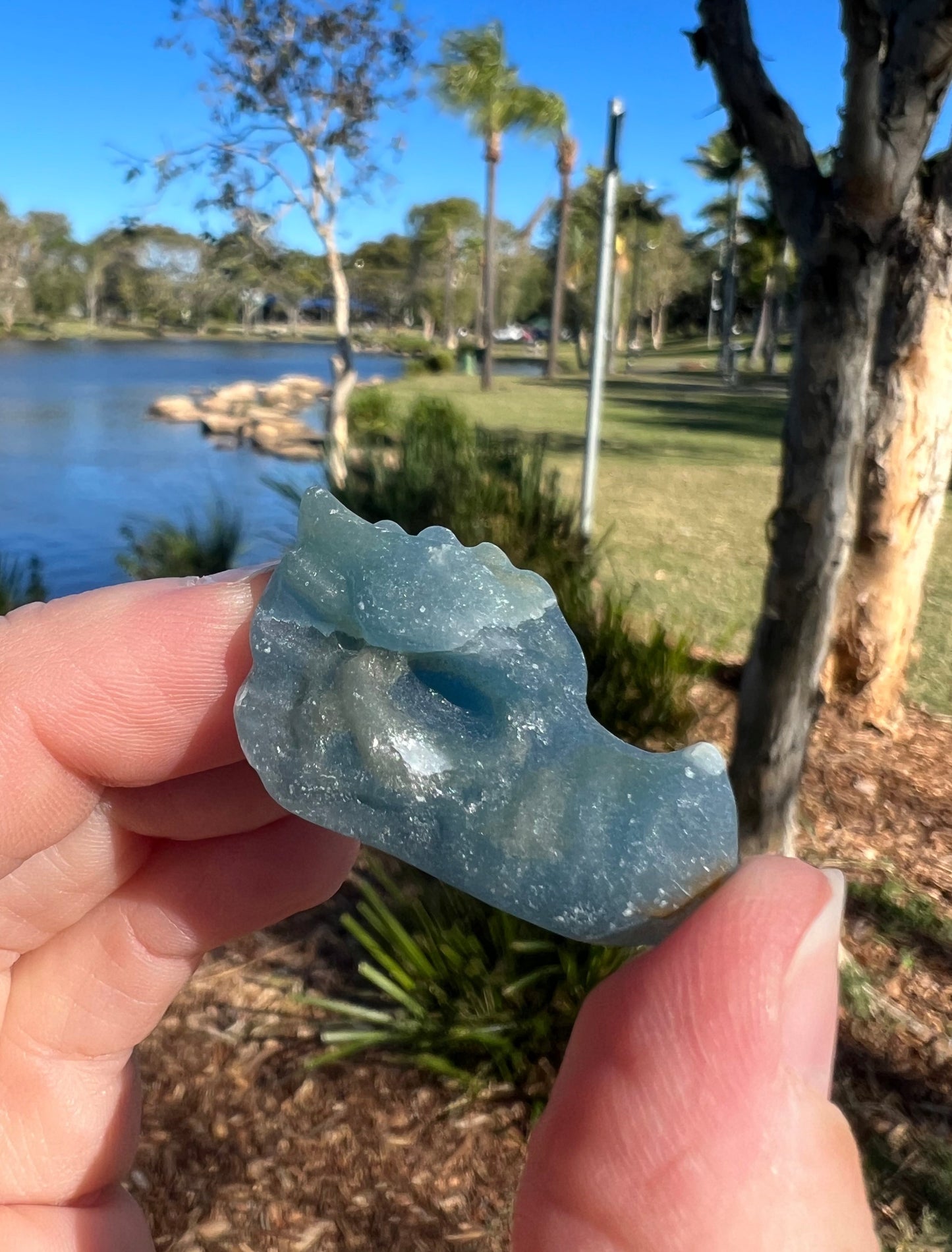 Blue Onyx Dragons Head