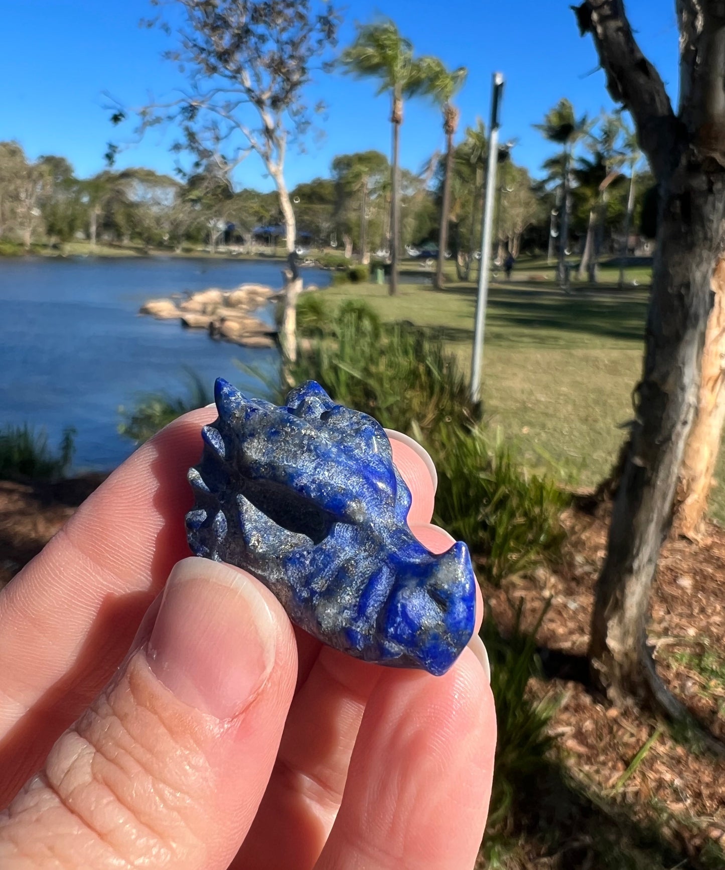 Lapis Lazuli Dragons Head