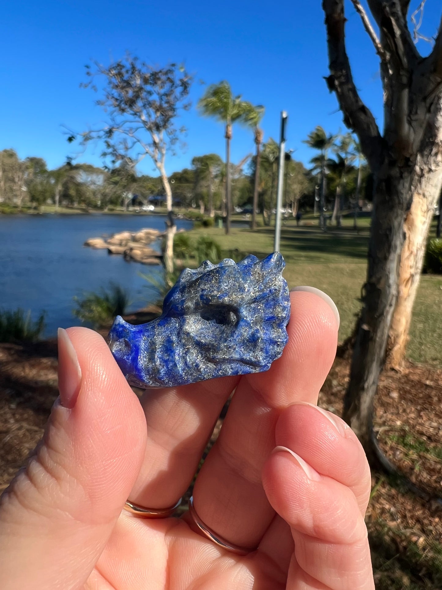 Lapis Lazuli Dragons Head