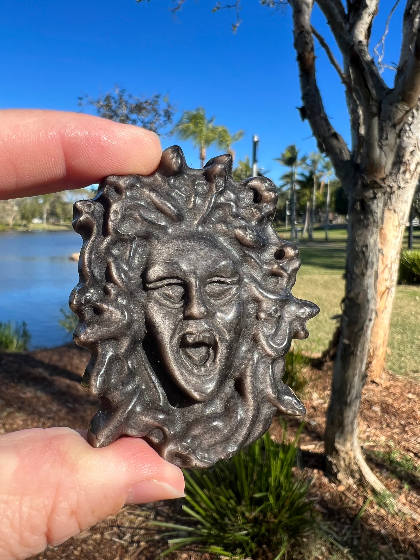 Silver Sheen Obsidian Medusa