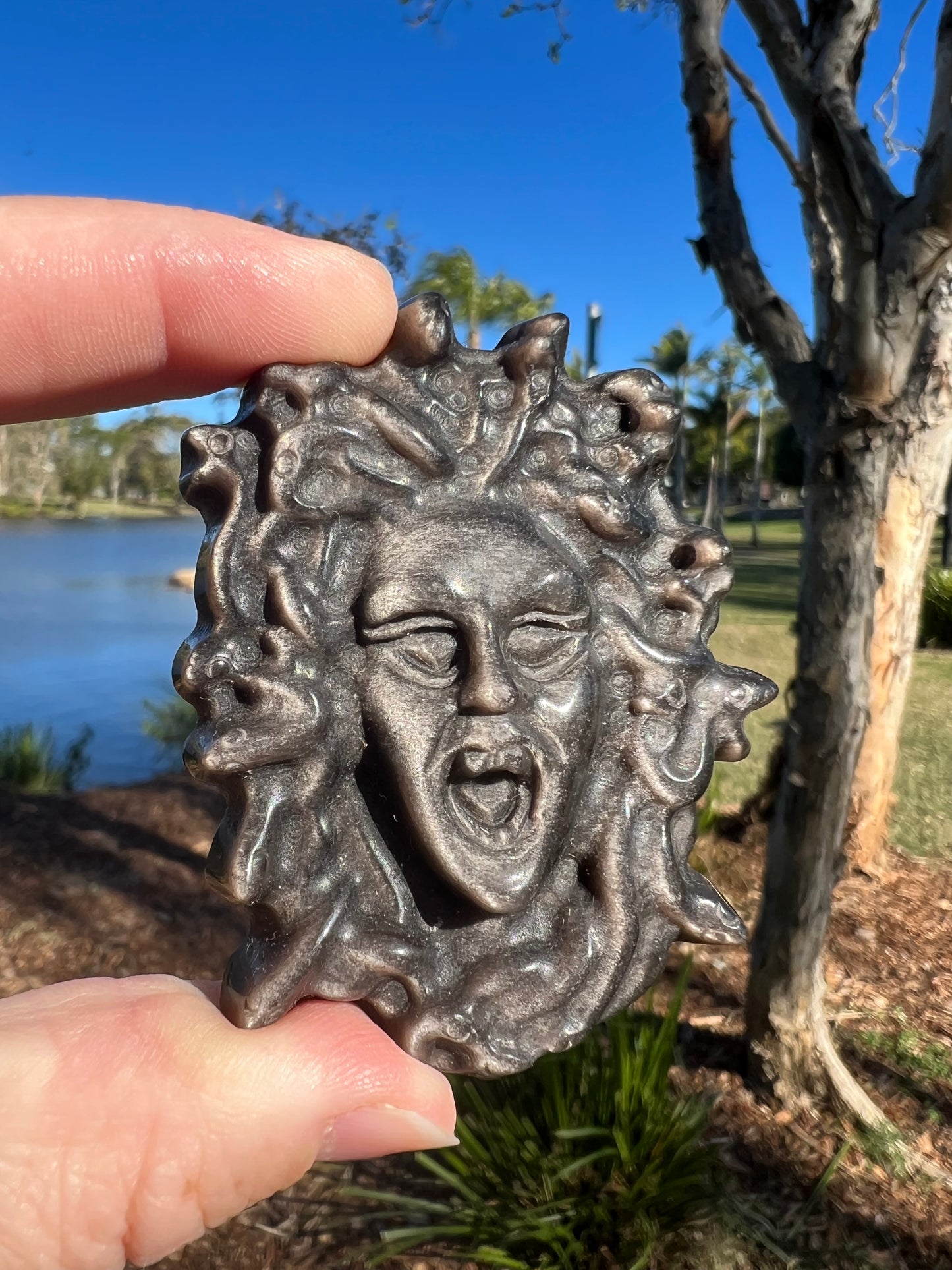Silver Sheen Obsidian Medusa
