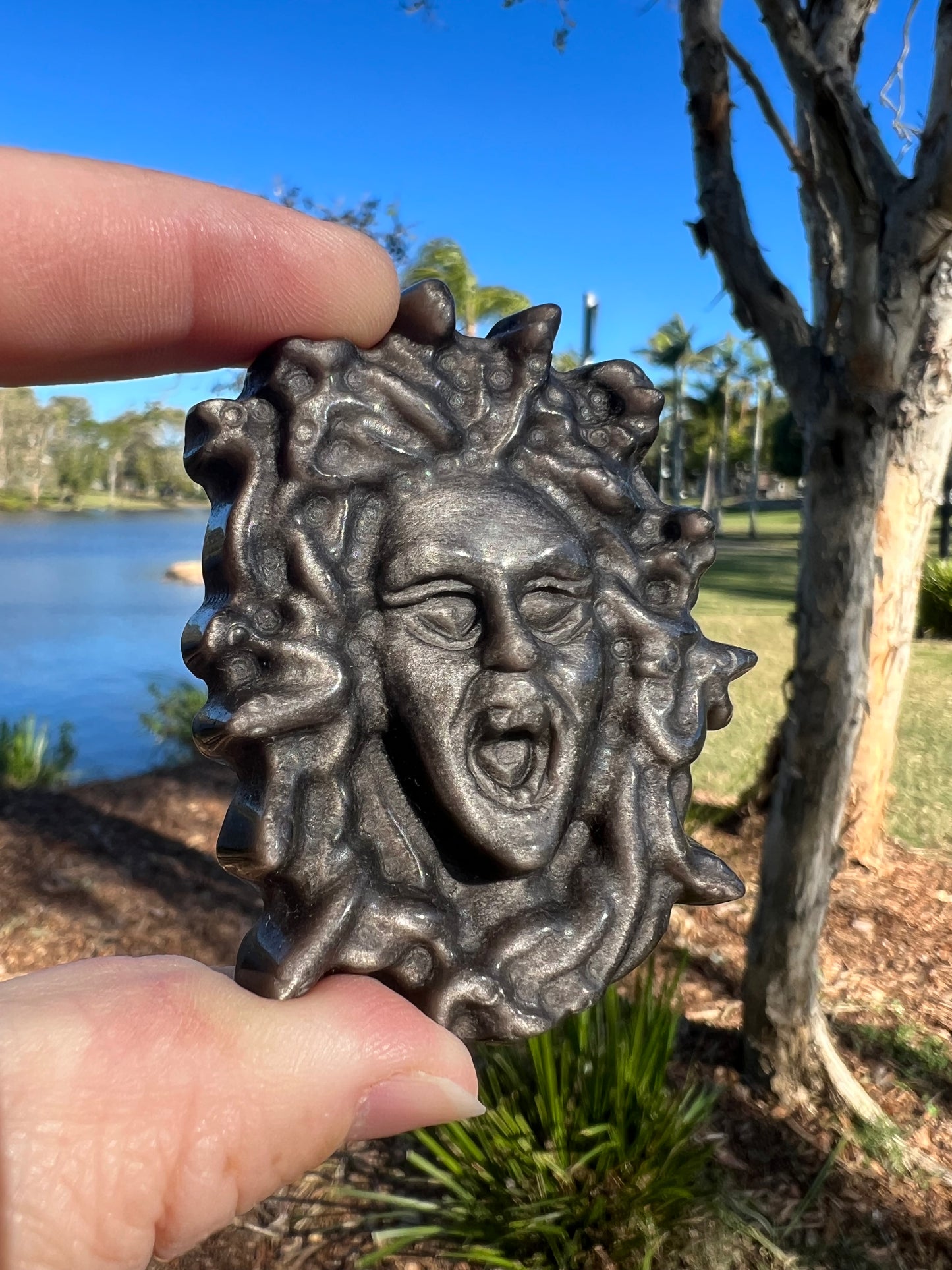 Silver Sheen Obsidian Medusa