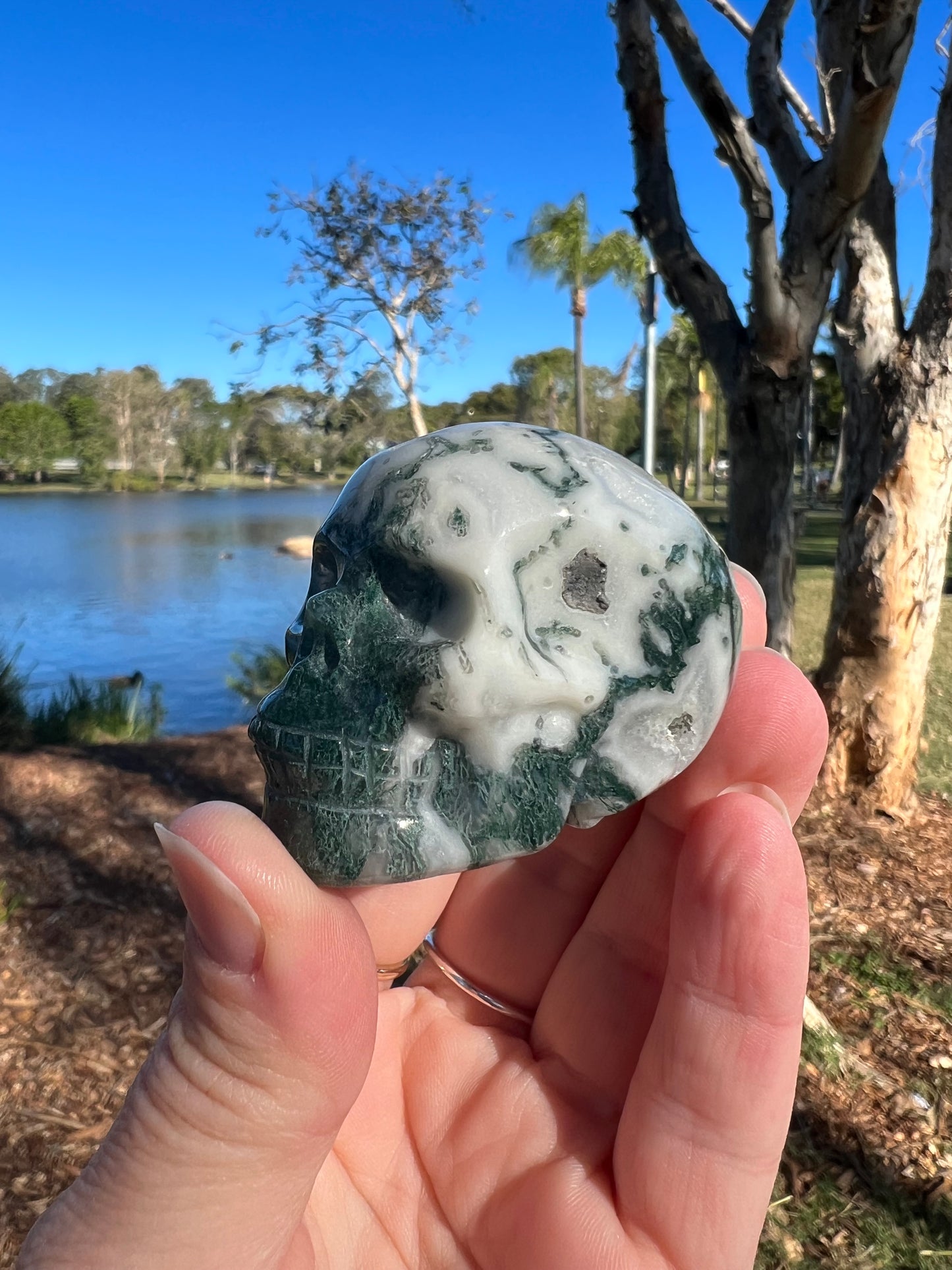Moss Agate Skull