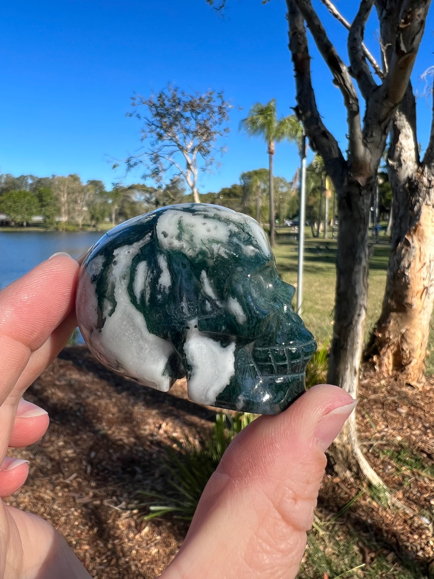 Moss Agate Skull