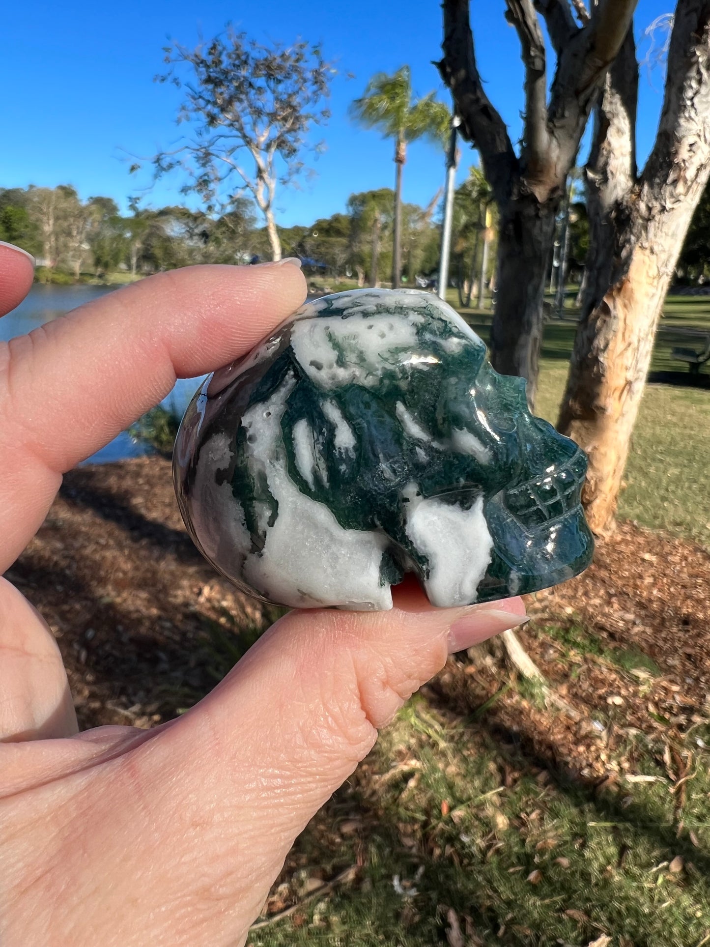 Moss Agate Skull