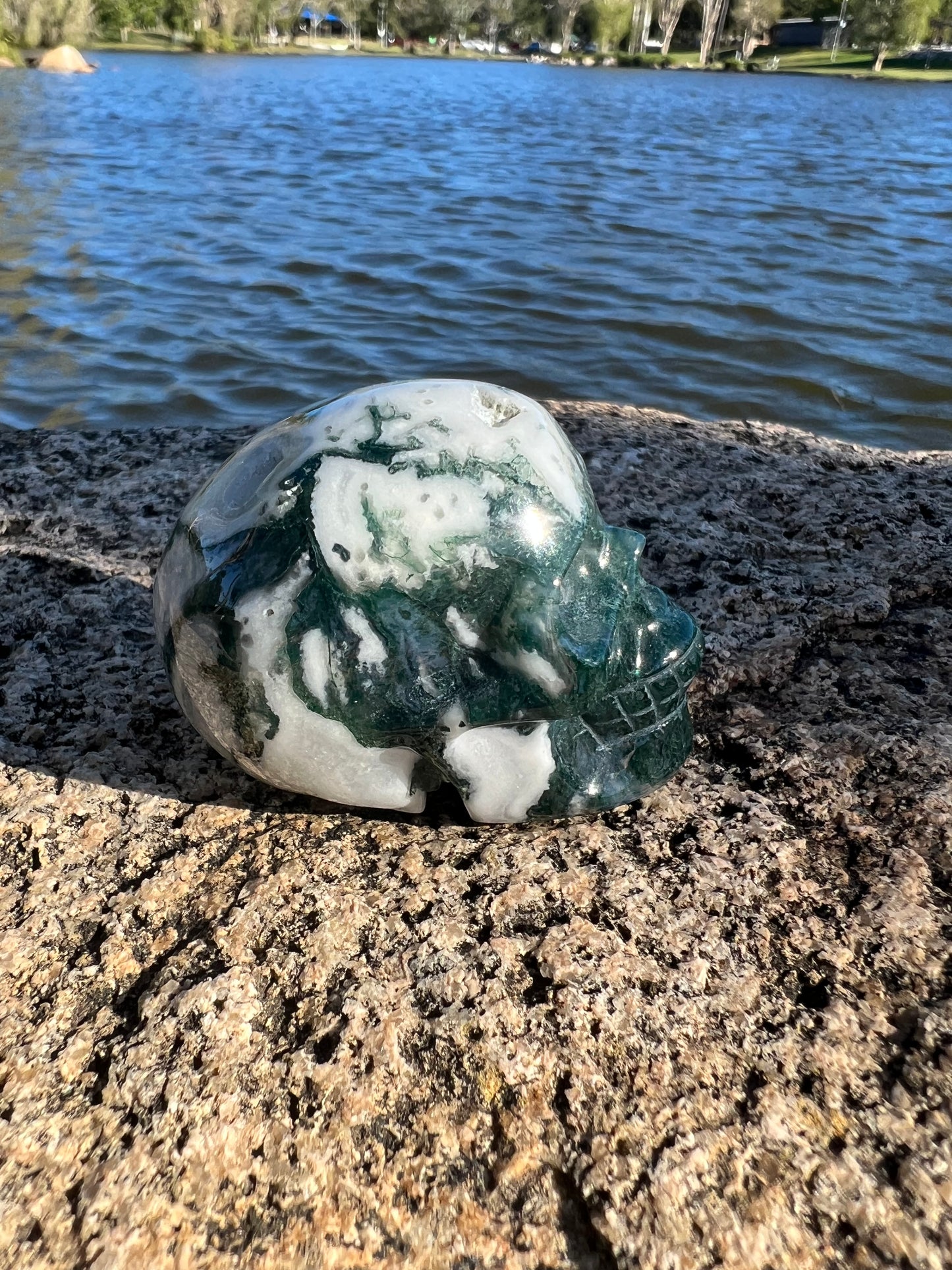 Moss Agate Skull
