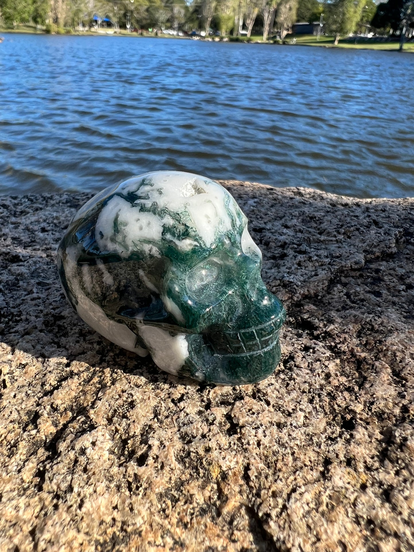 Moss Agate Skull