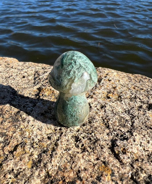 Moss Agate Mushroom