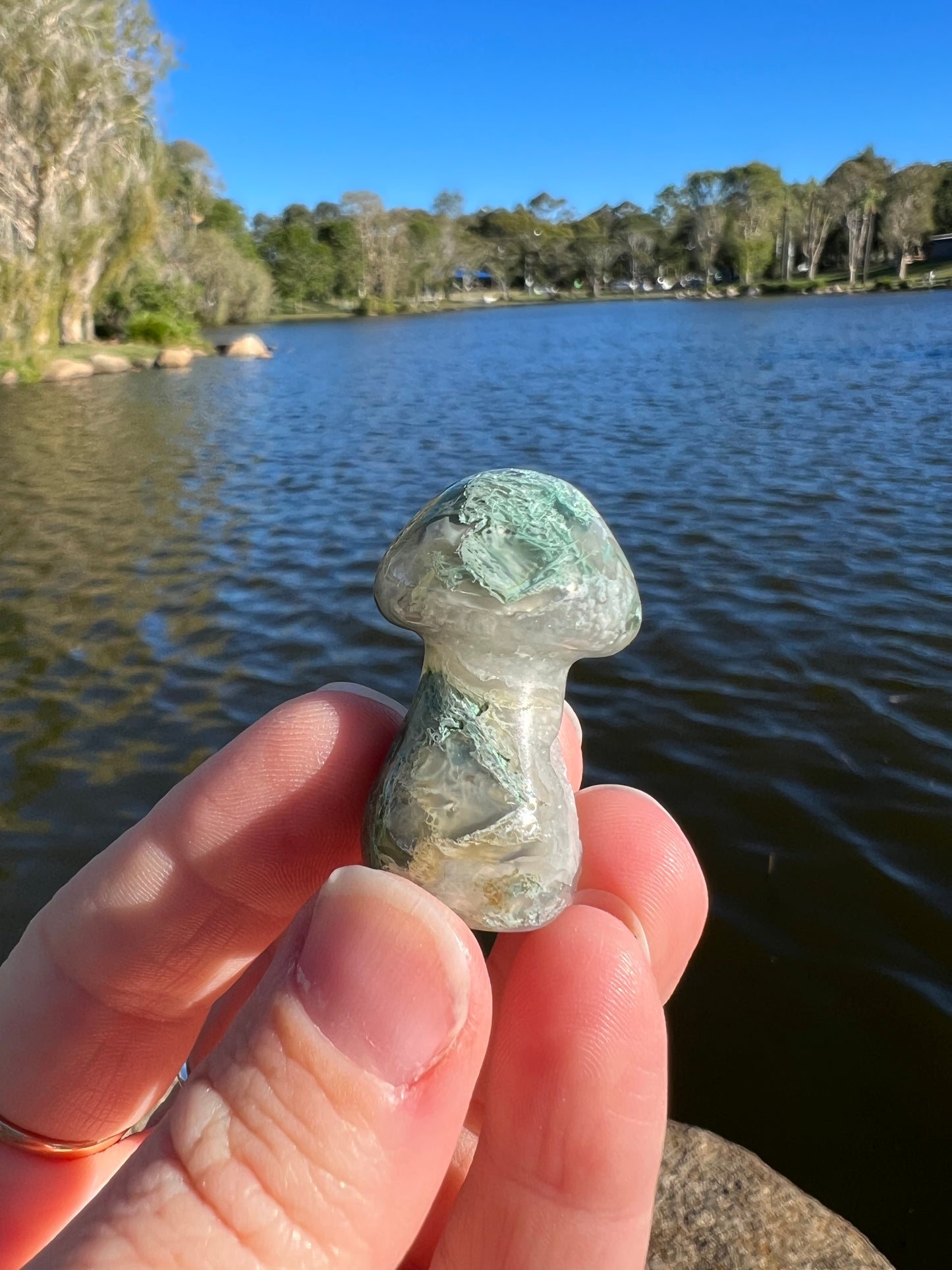 Moss Agate Mushroom