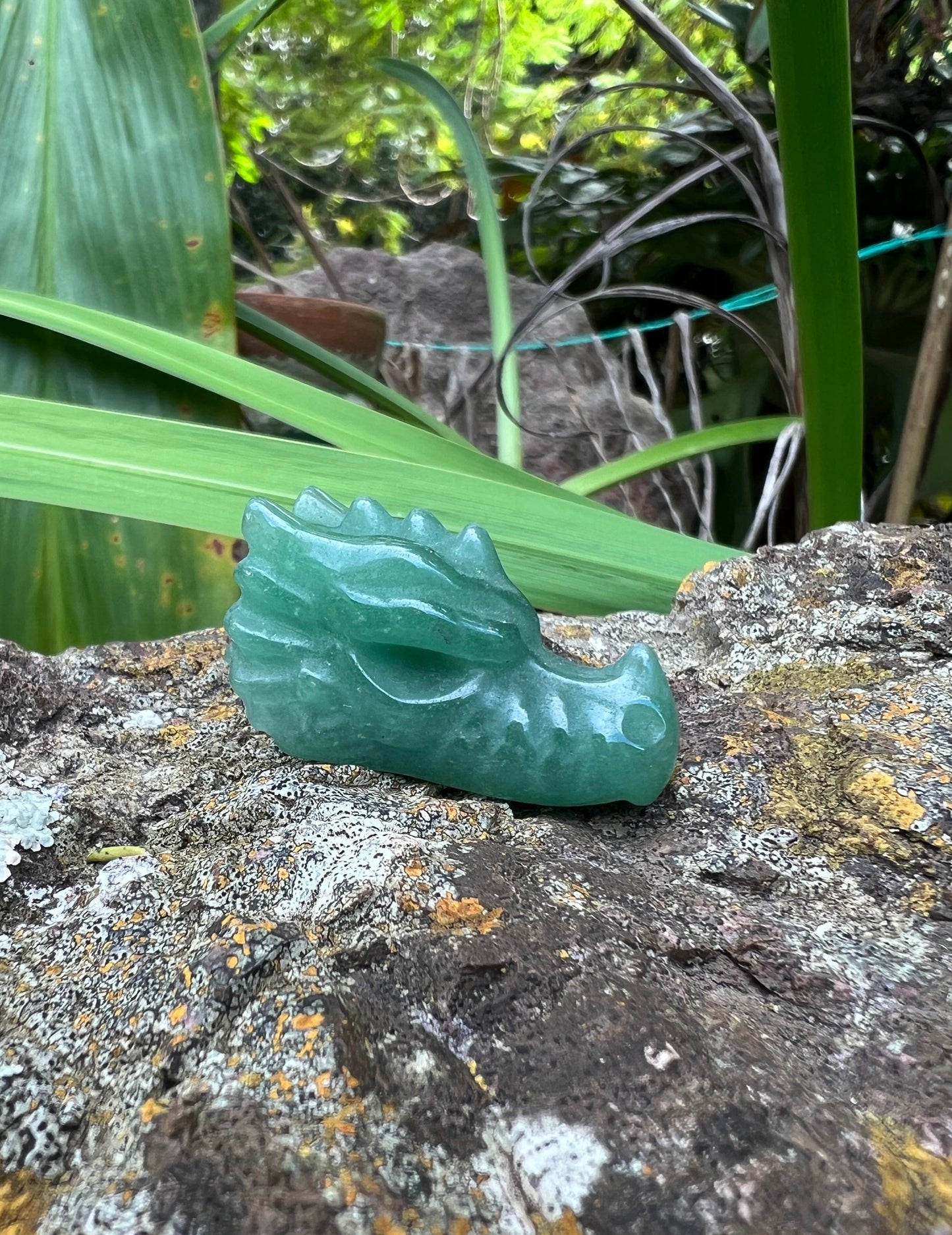 Aventurine Dragons Head