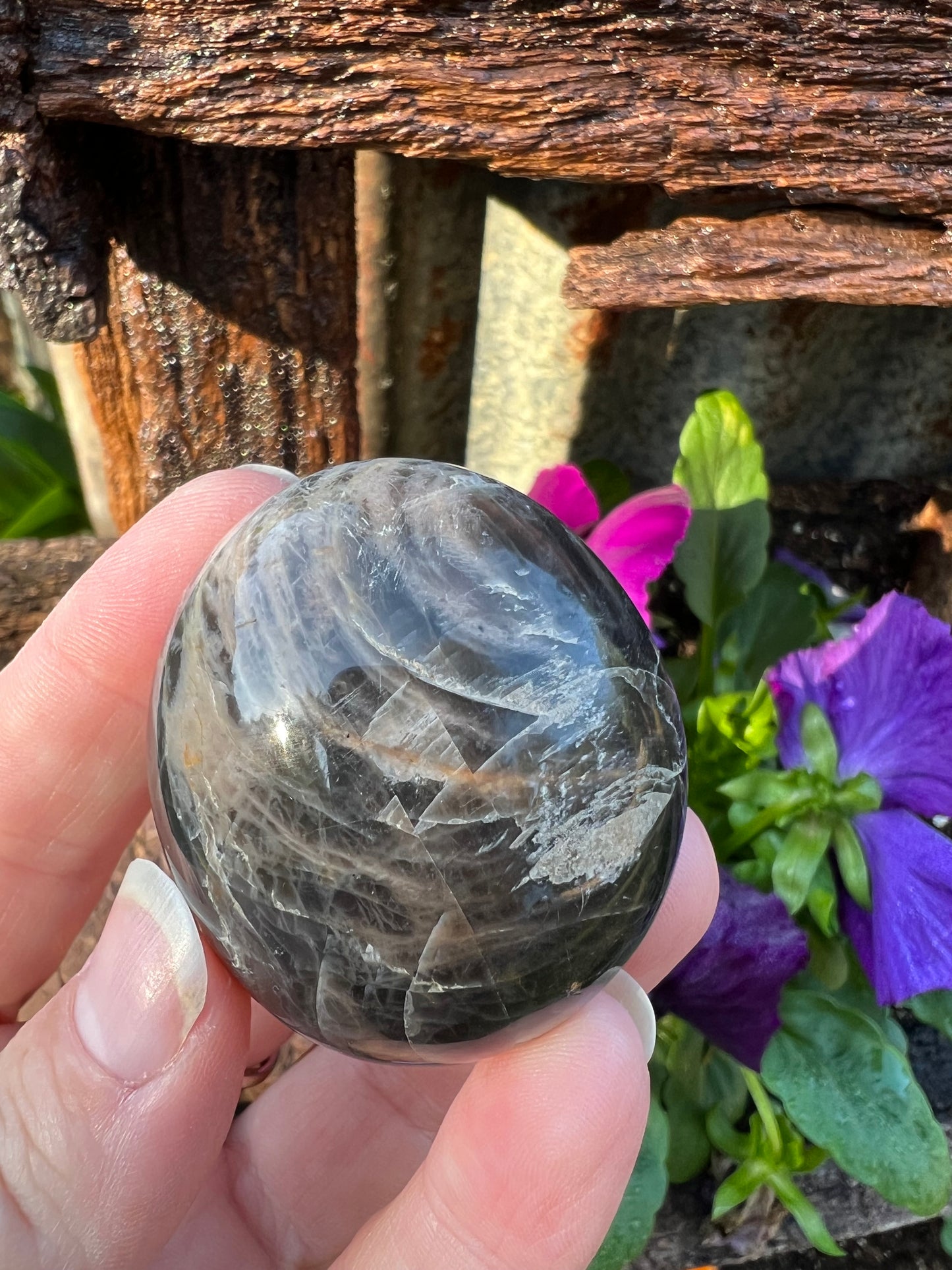 Black Moonstone Palm Stone