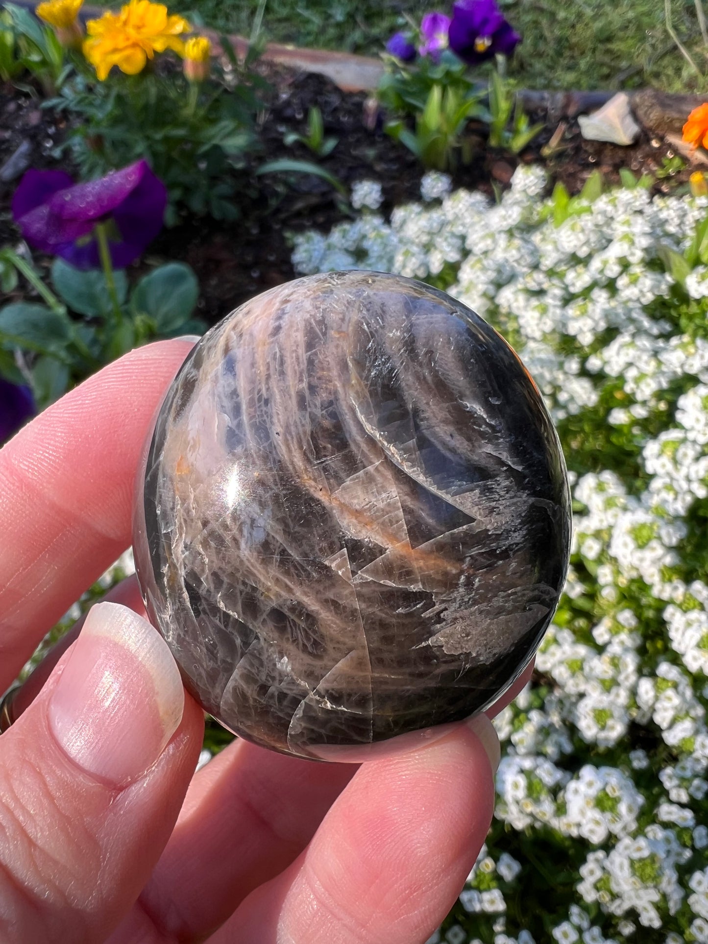 Black Moonstone Palm Stone