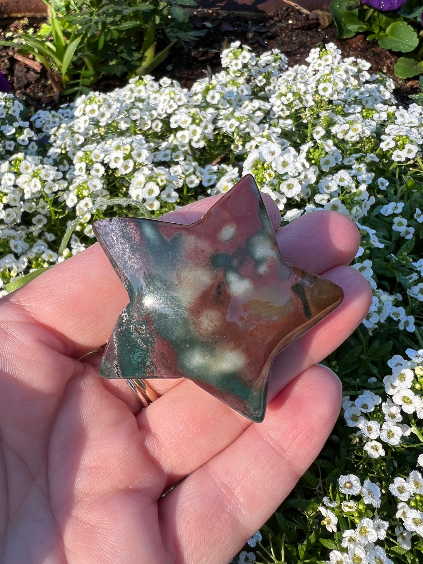 Ocean Jasper Star