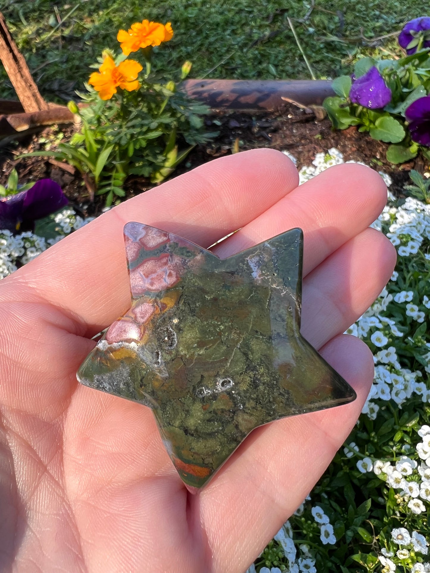 Ocean Jasper Star