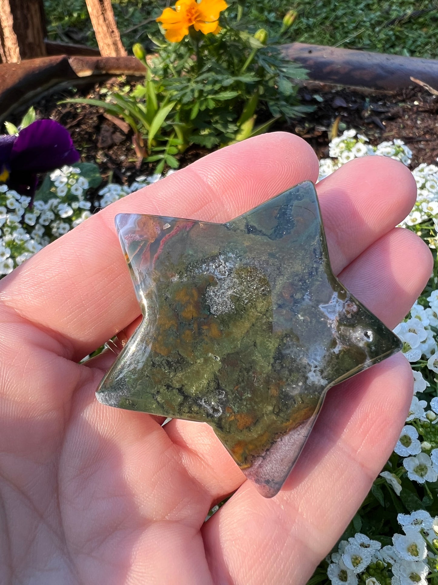 Ocean Jasper Star