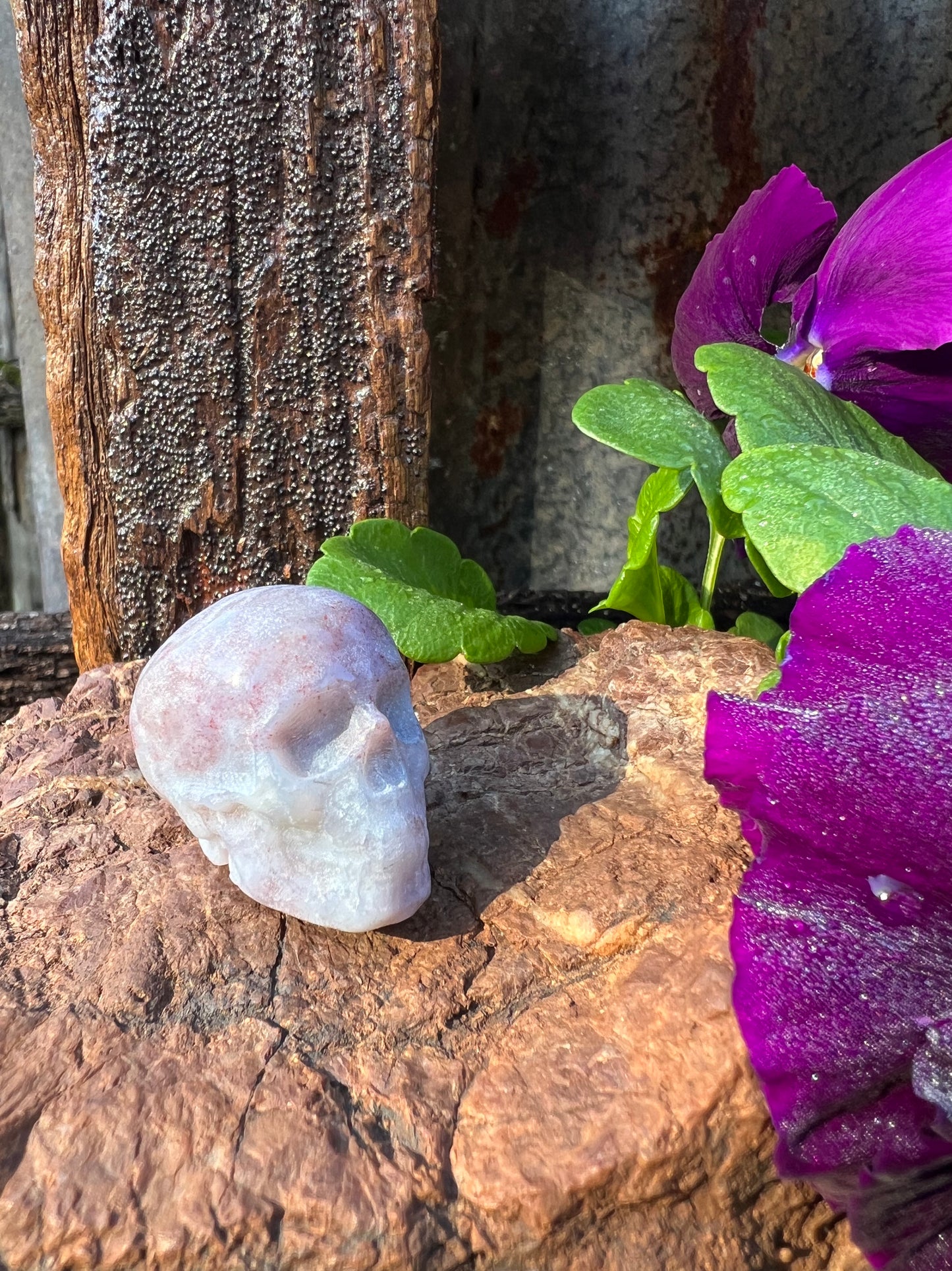Ocean Jasper Skull