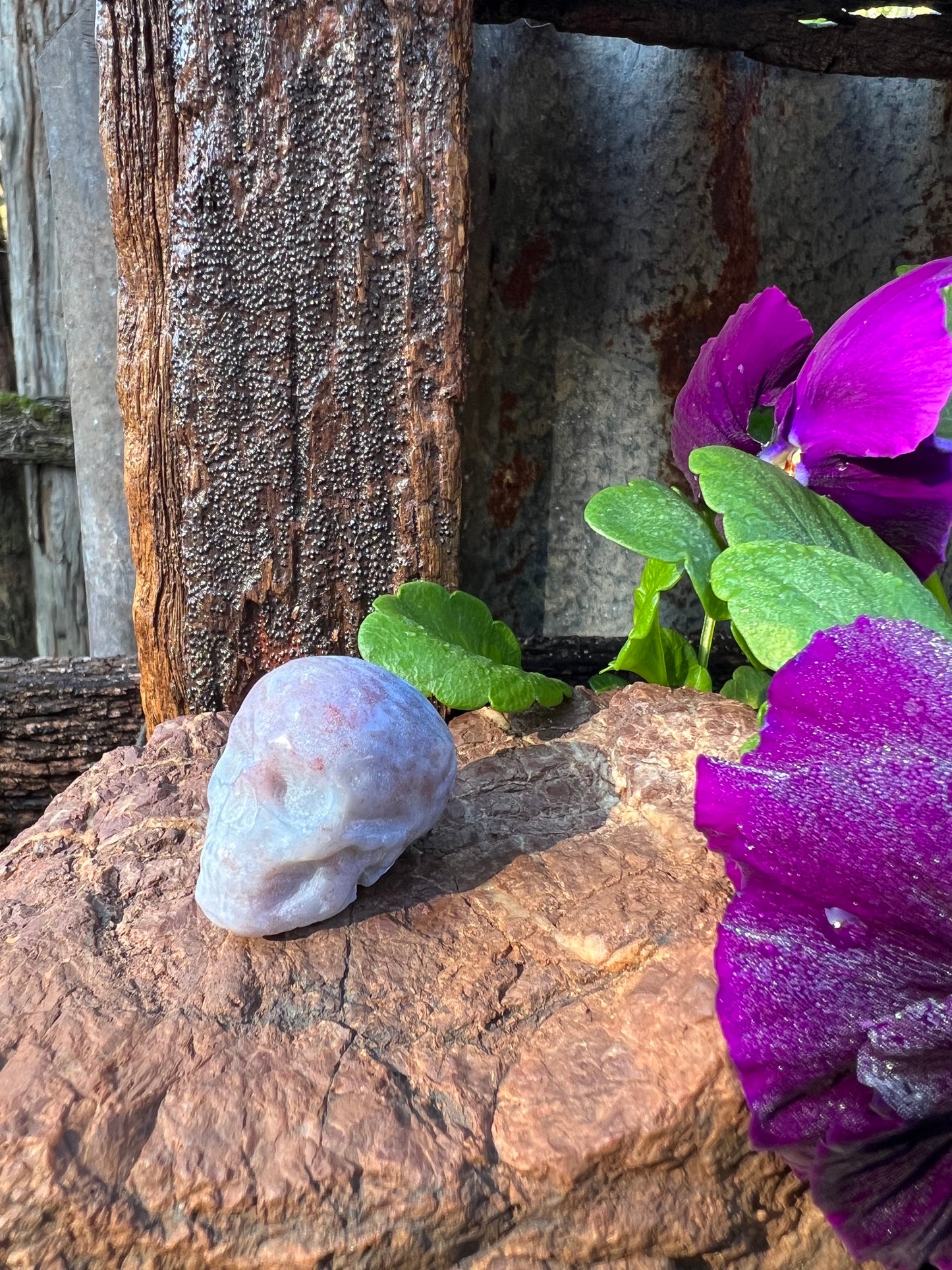Ocean Jasper Skull