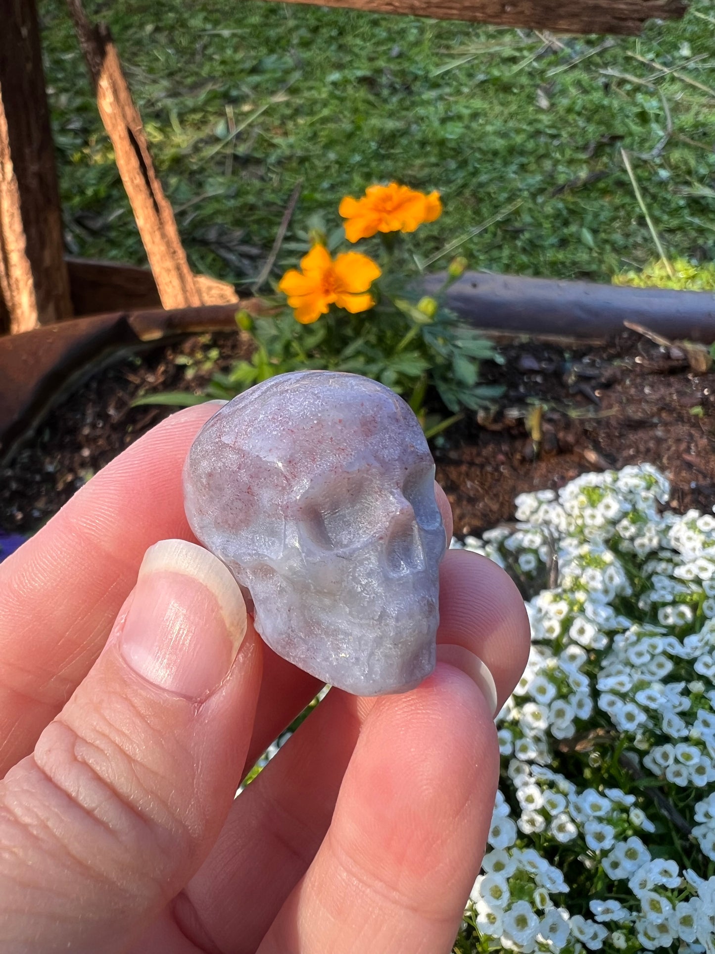 Ocean Jasper Skull