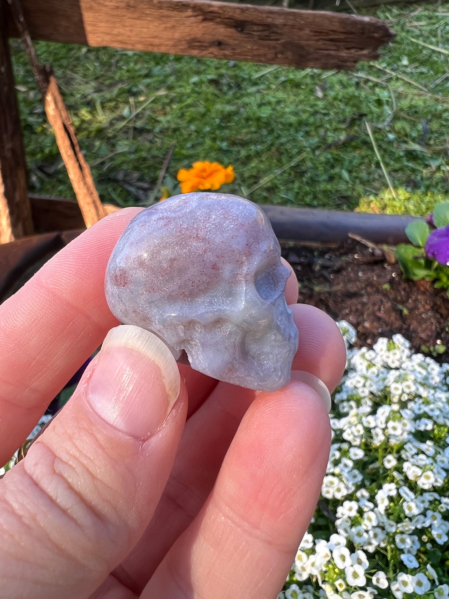 Ocean Jasper Skull