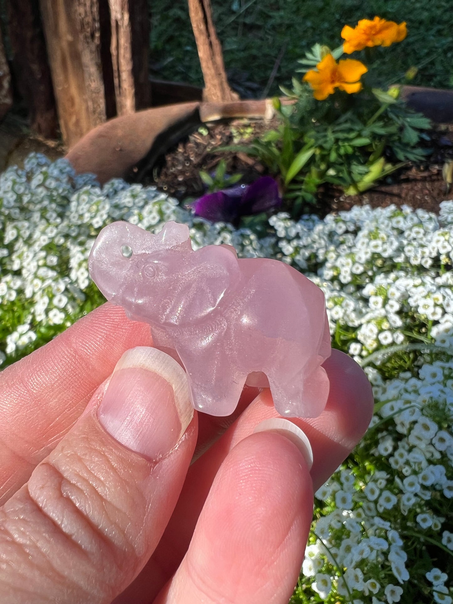 Rose Quartz Elephant