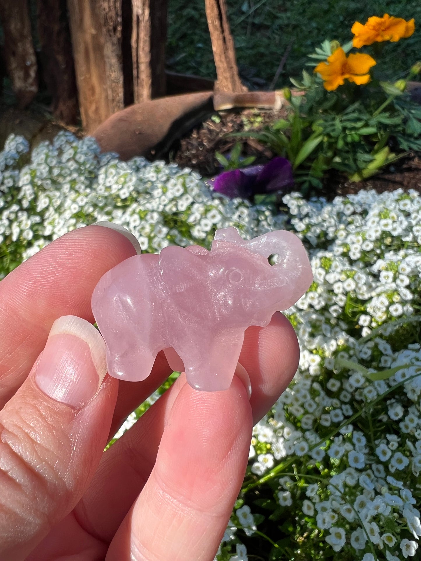 Rose Quartz Elephant