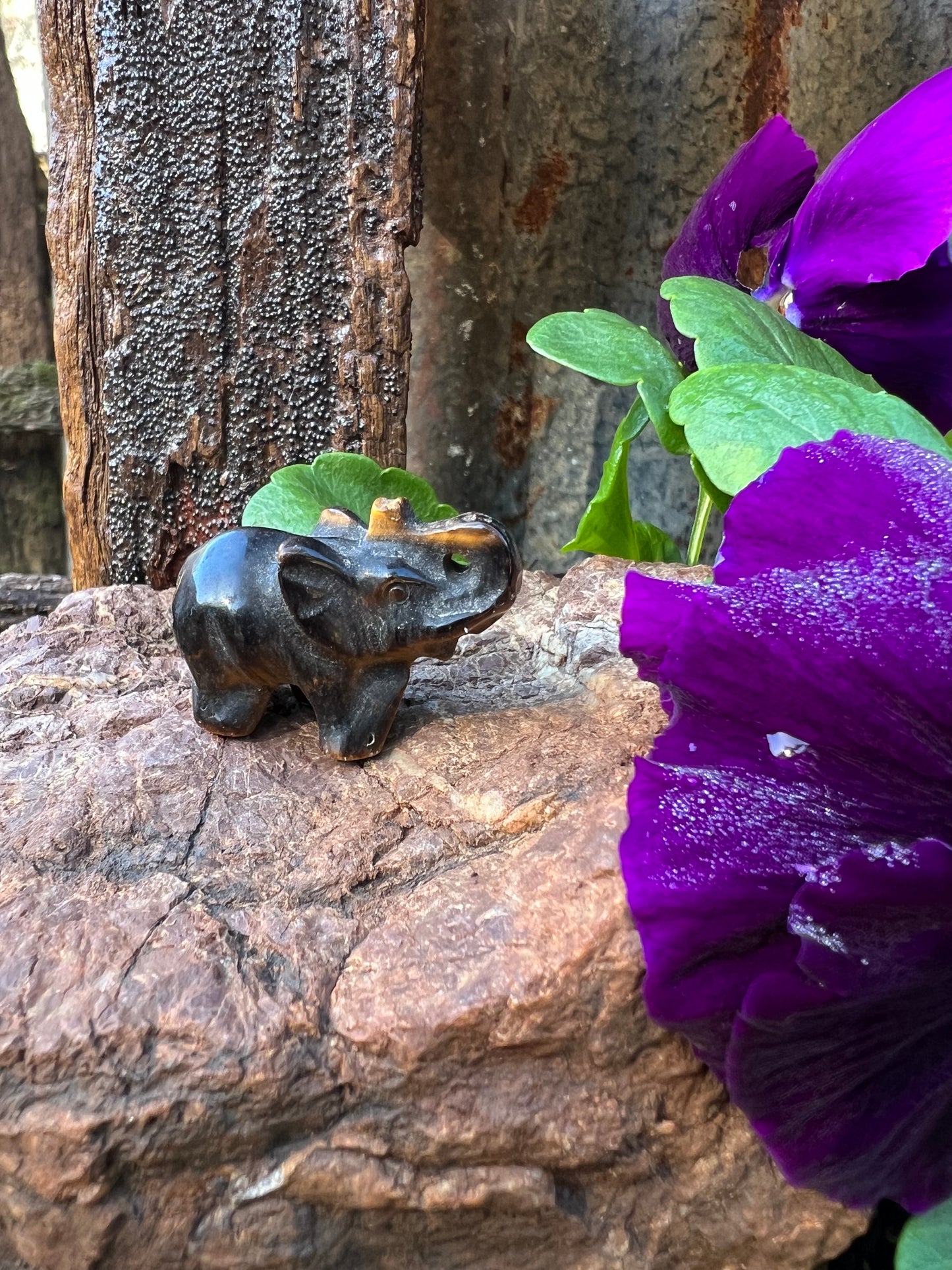 Tiger Eye Elephant