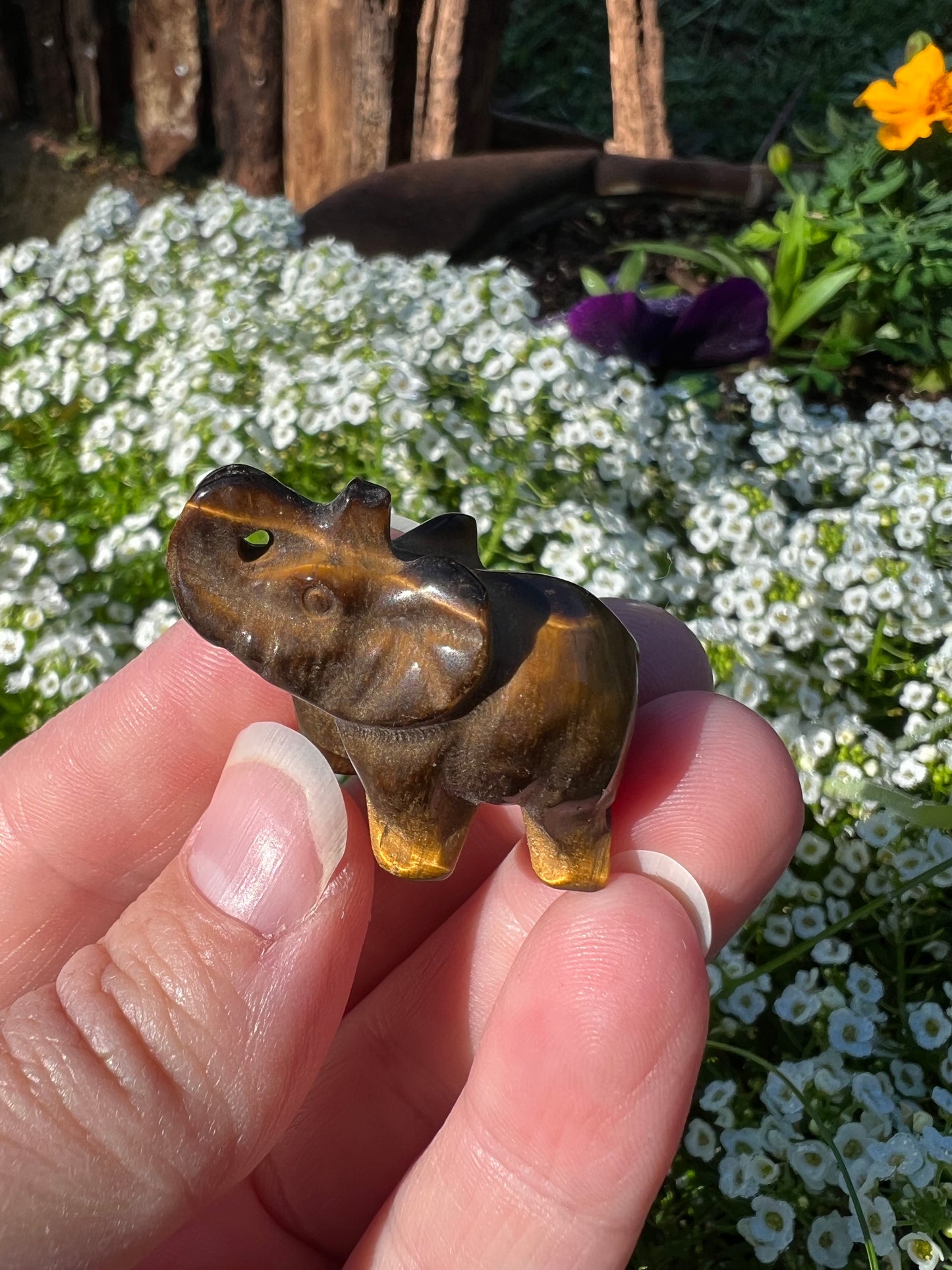 Tiger Eye Elephant
