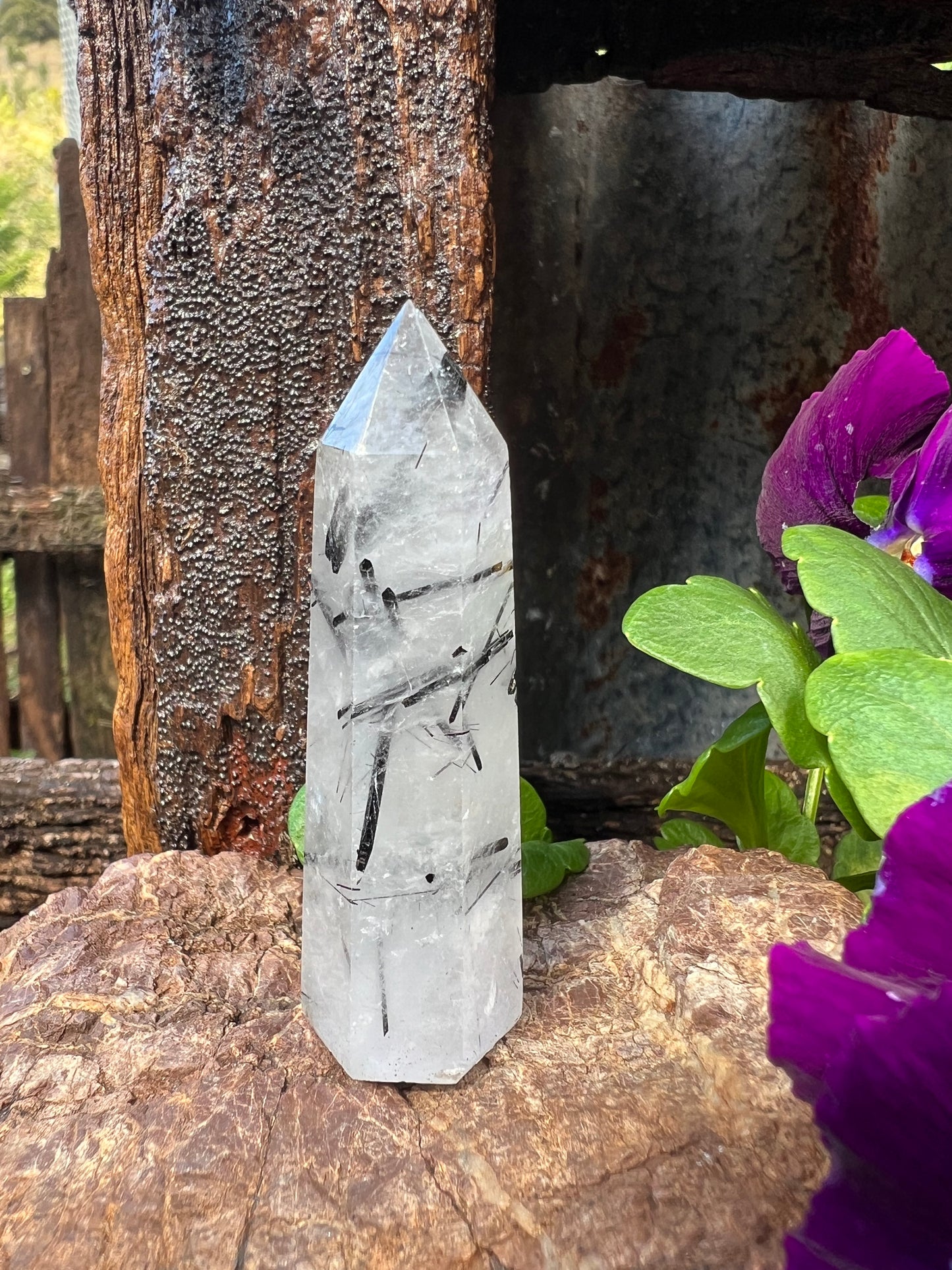 Black Tourmaline in Quartz Tower