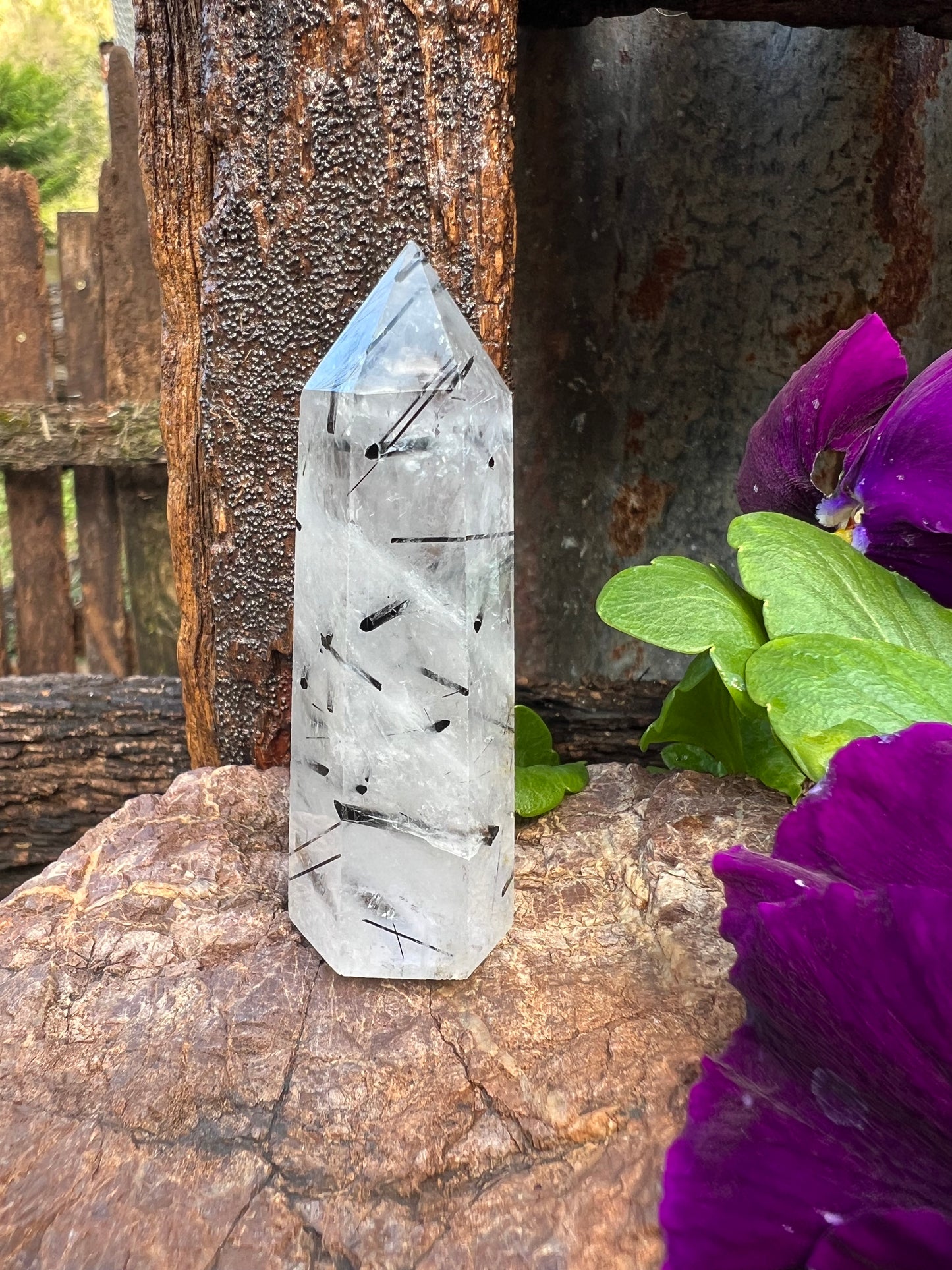 Black Tourmaline in Quartz Tower