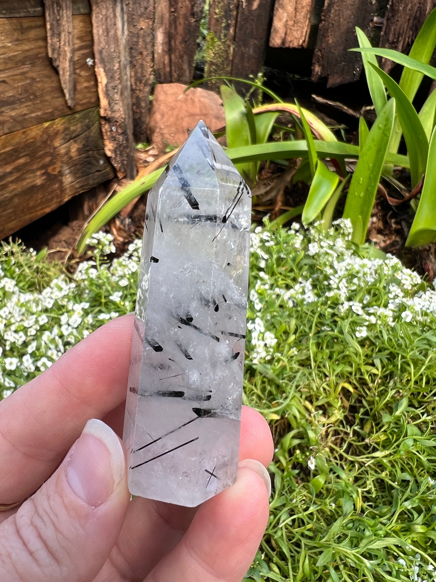 Black Tourmaline in Quartz Tower
