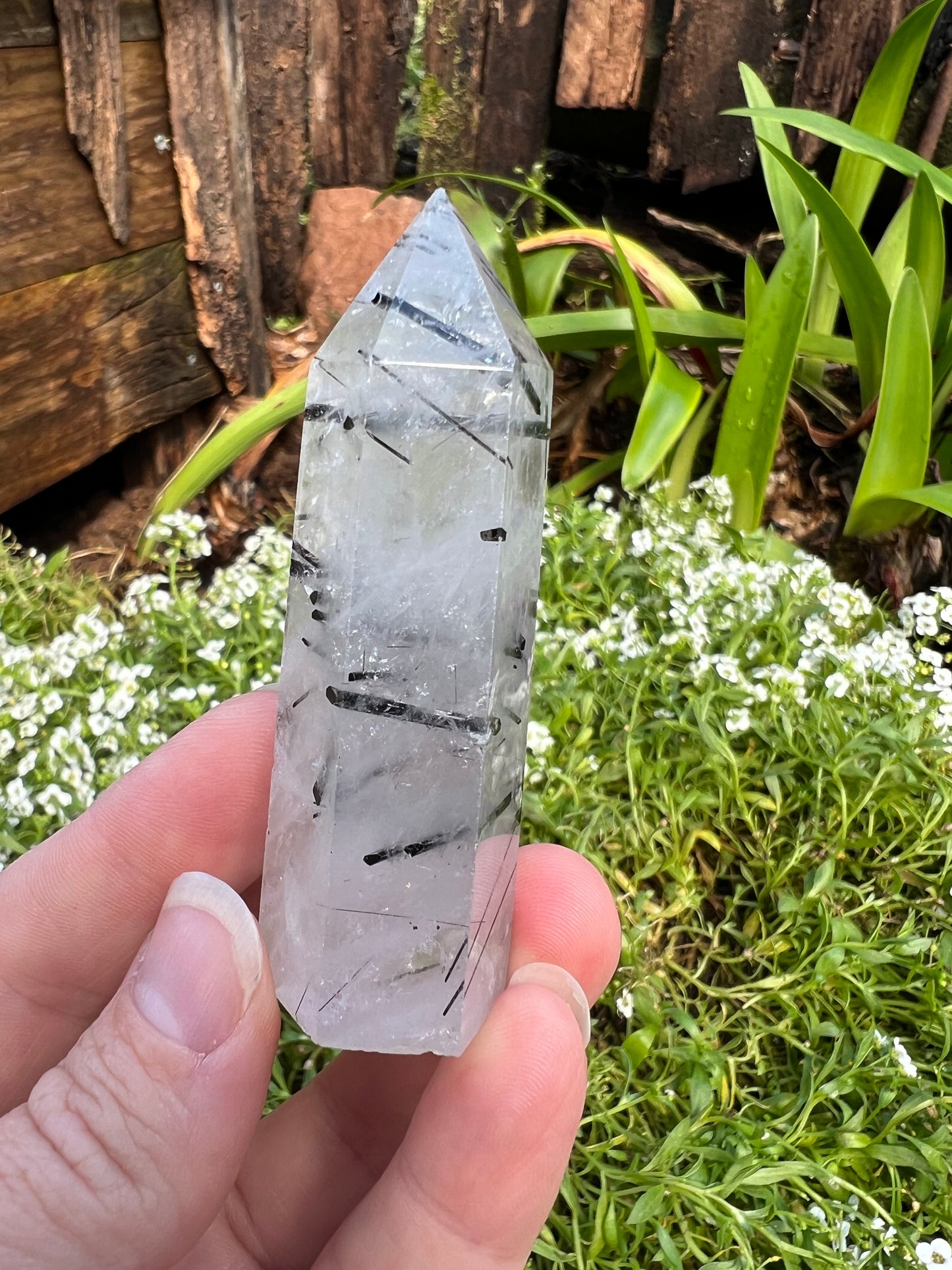 Black Tourmaline in Quartz Tower