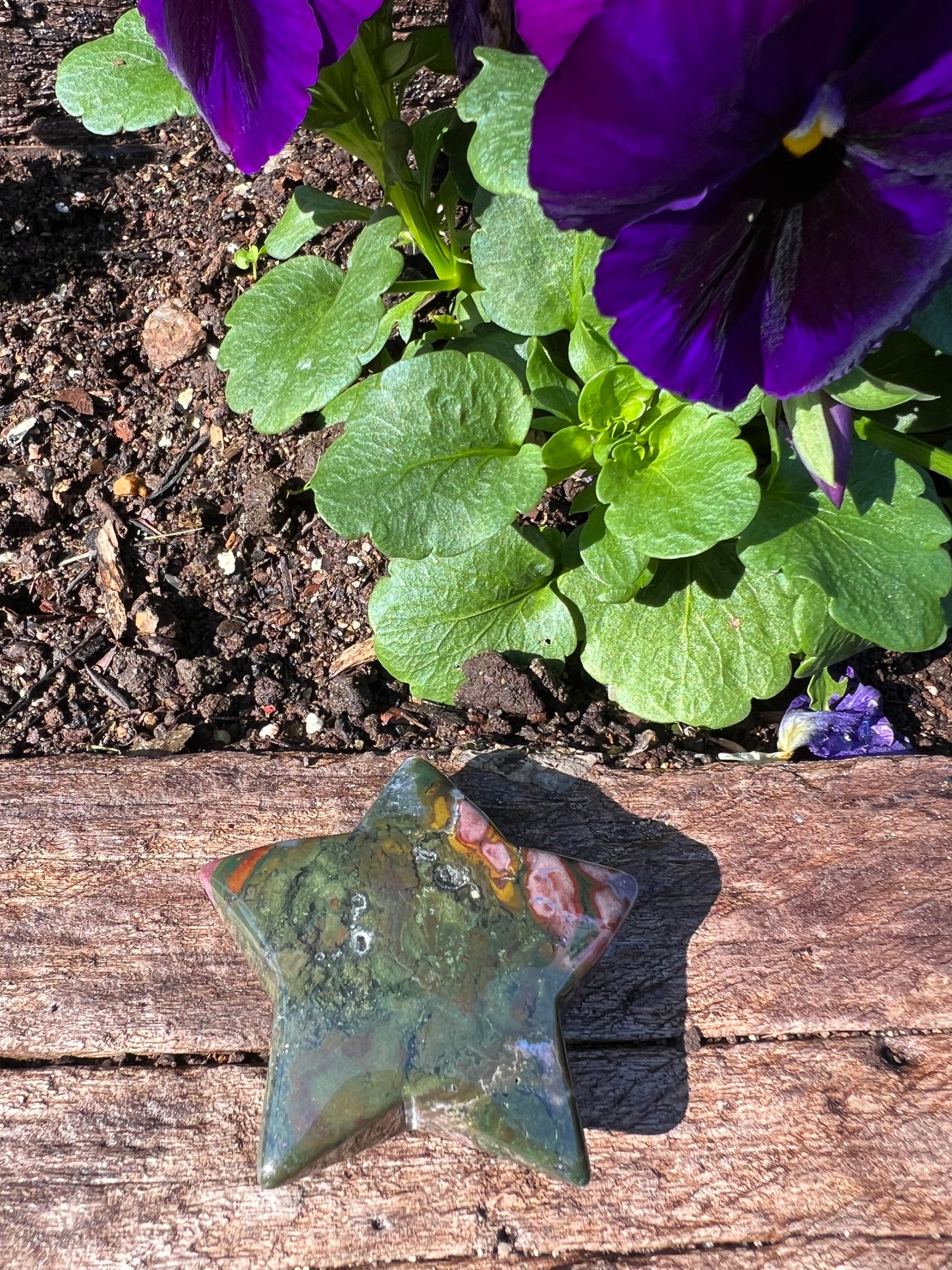 Ocean Jasper Star