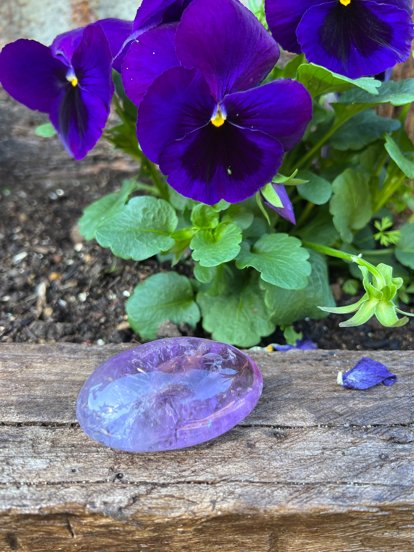 Amethyst Palm Stone