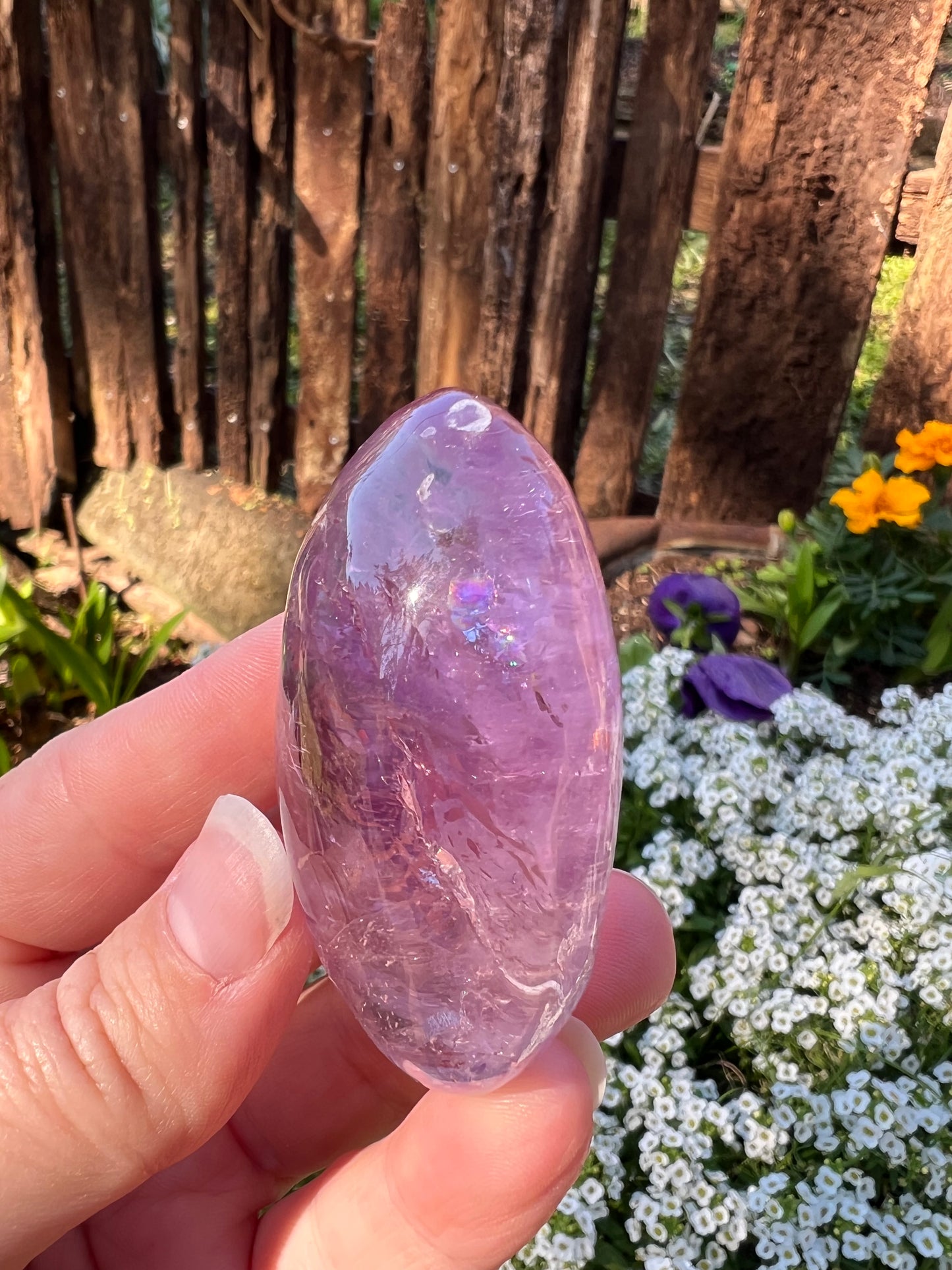 Amethyst Palm Stone