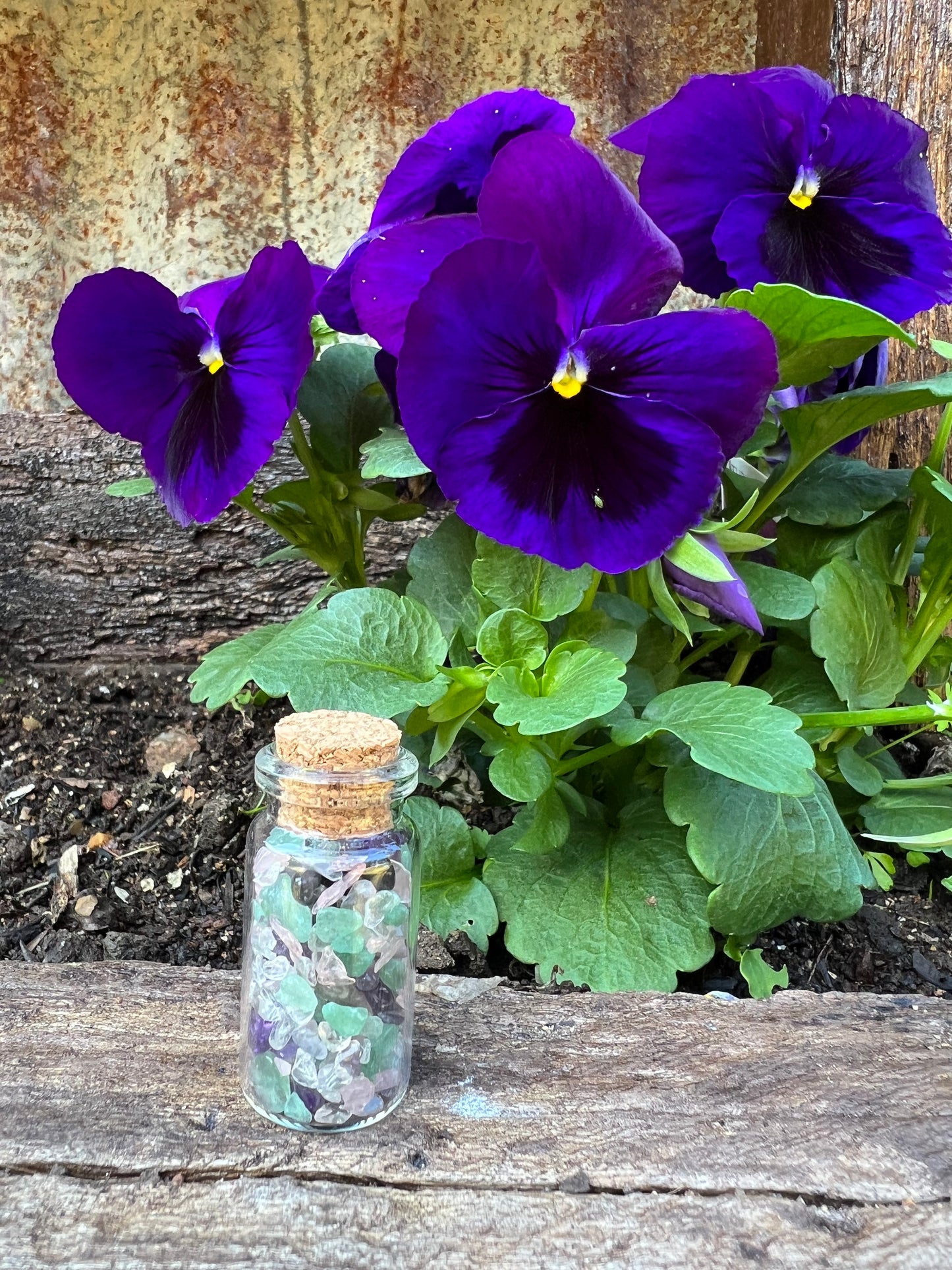 Fairy Sprinkles Wish Bottle