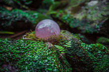 Load image into Gallery viewer, Forest Rose Quartz | Nature Photography Print

