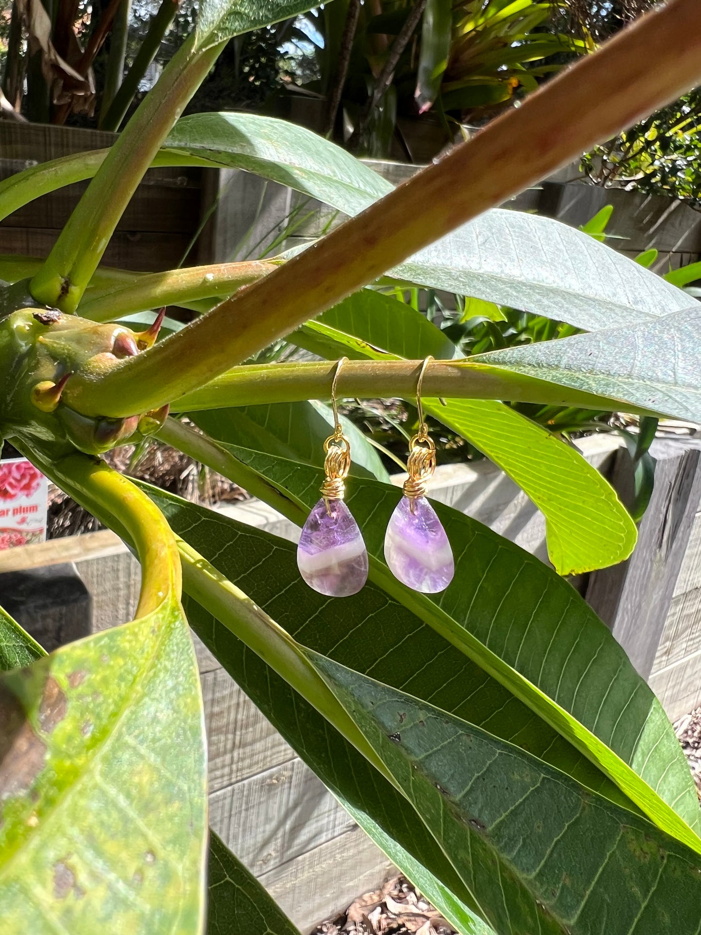 Nurturing Amethyst Earrings