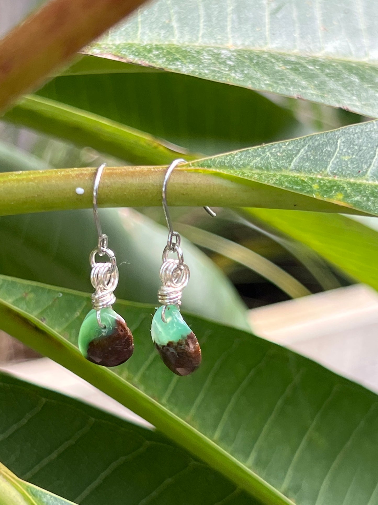 Calming Chrysoprase Earrings