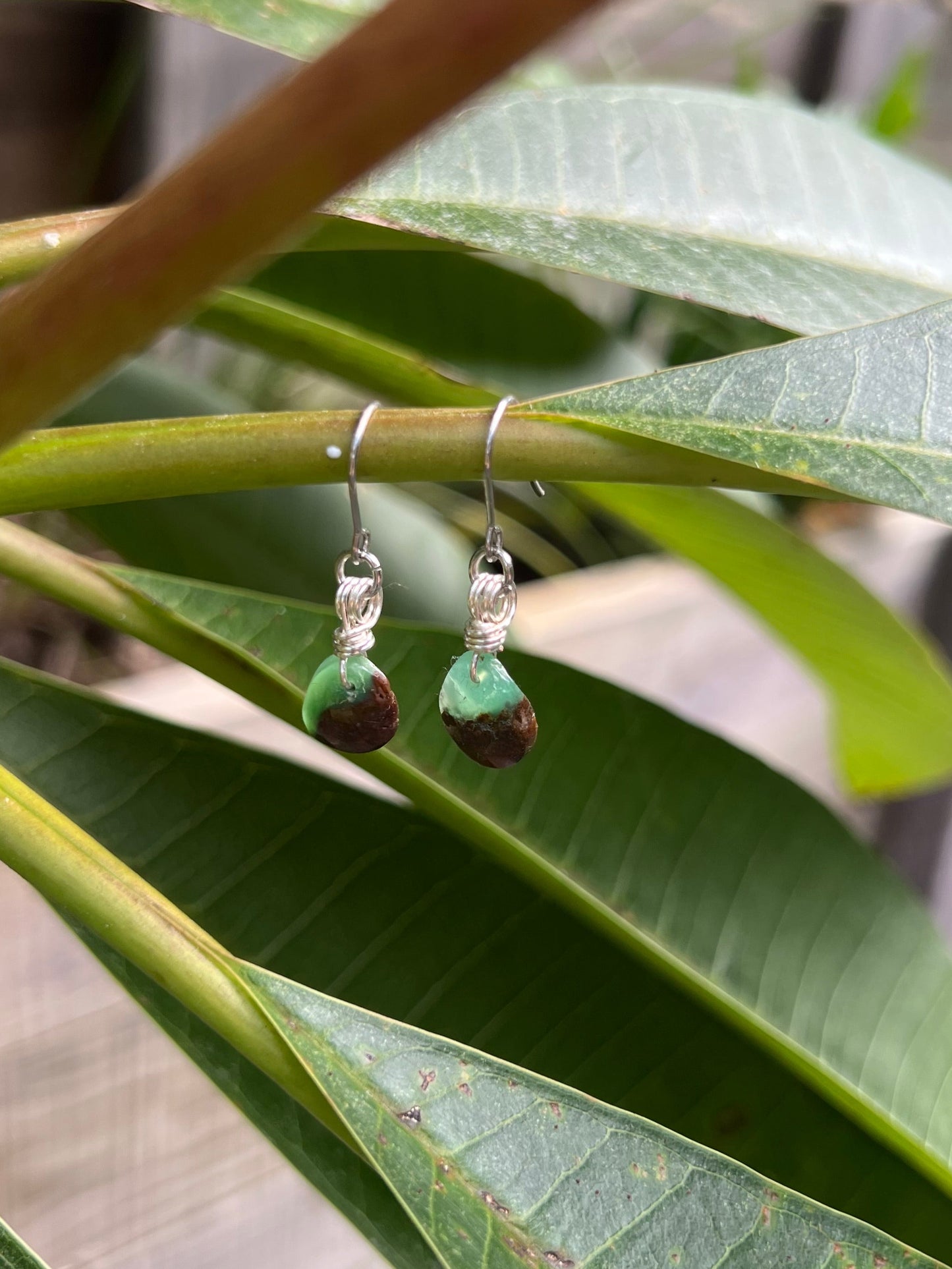 Calming Chrysoprase Earrings