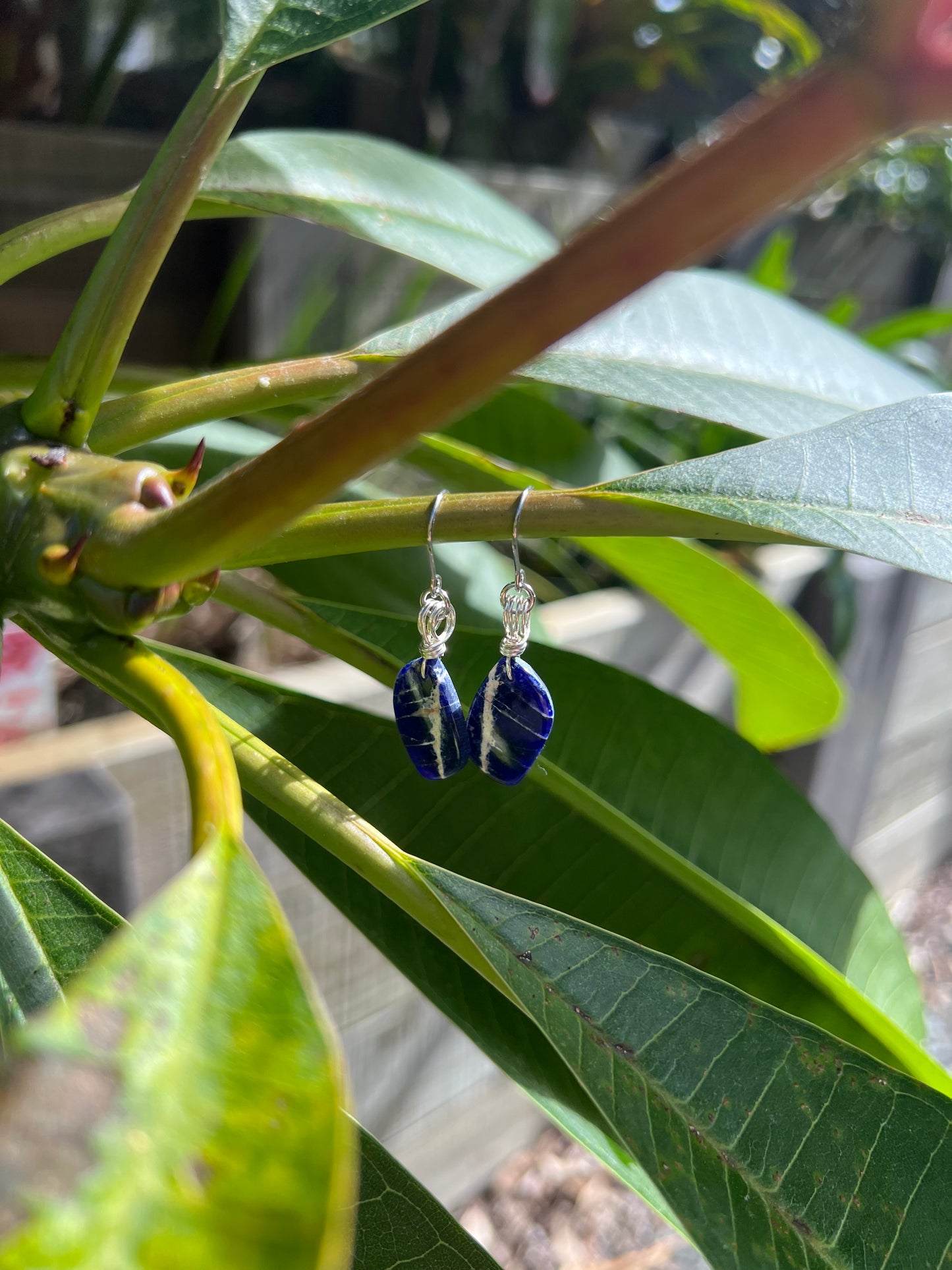 Delicious Sodalite Earrings