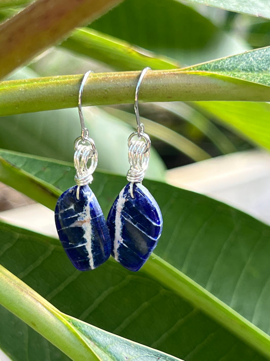 Delicious Sodalite Earrings