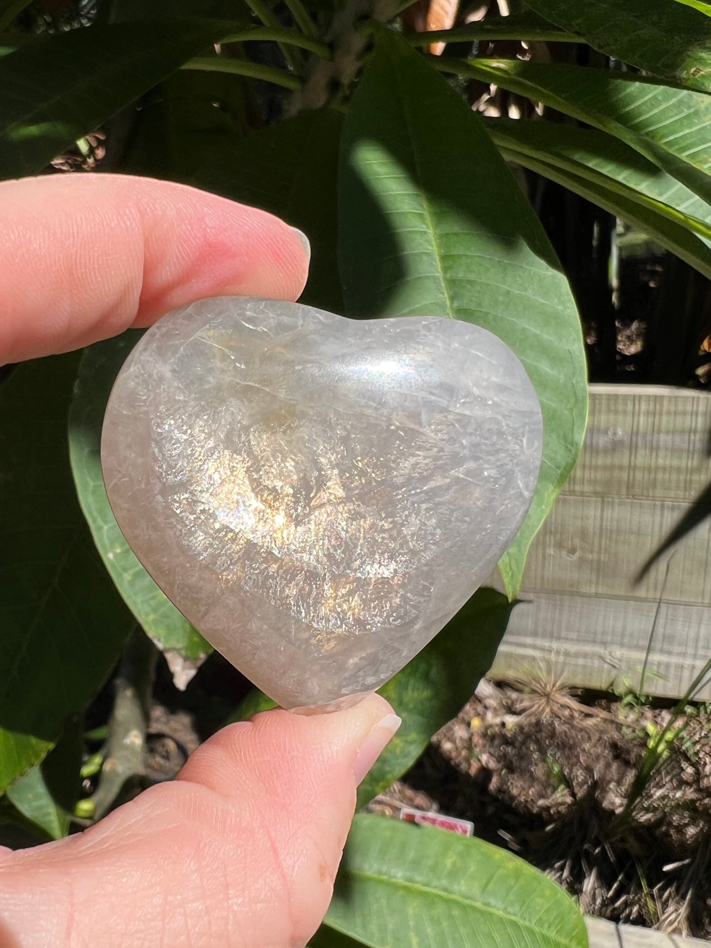 Blue Rose Quartz Heart