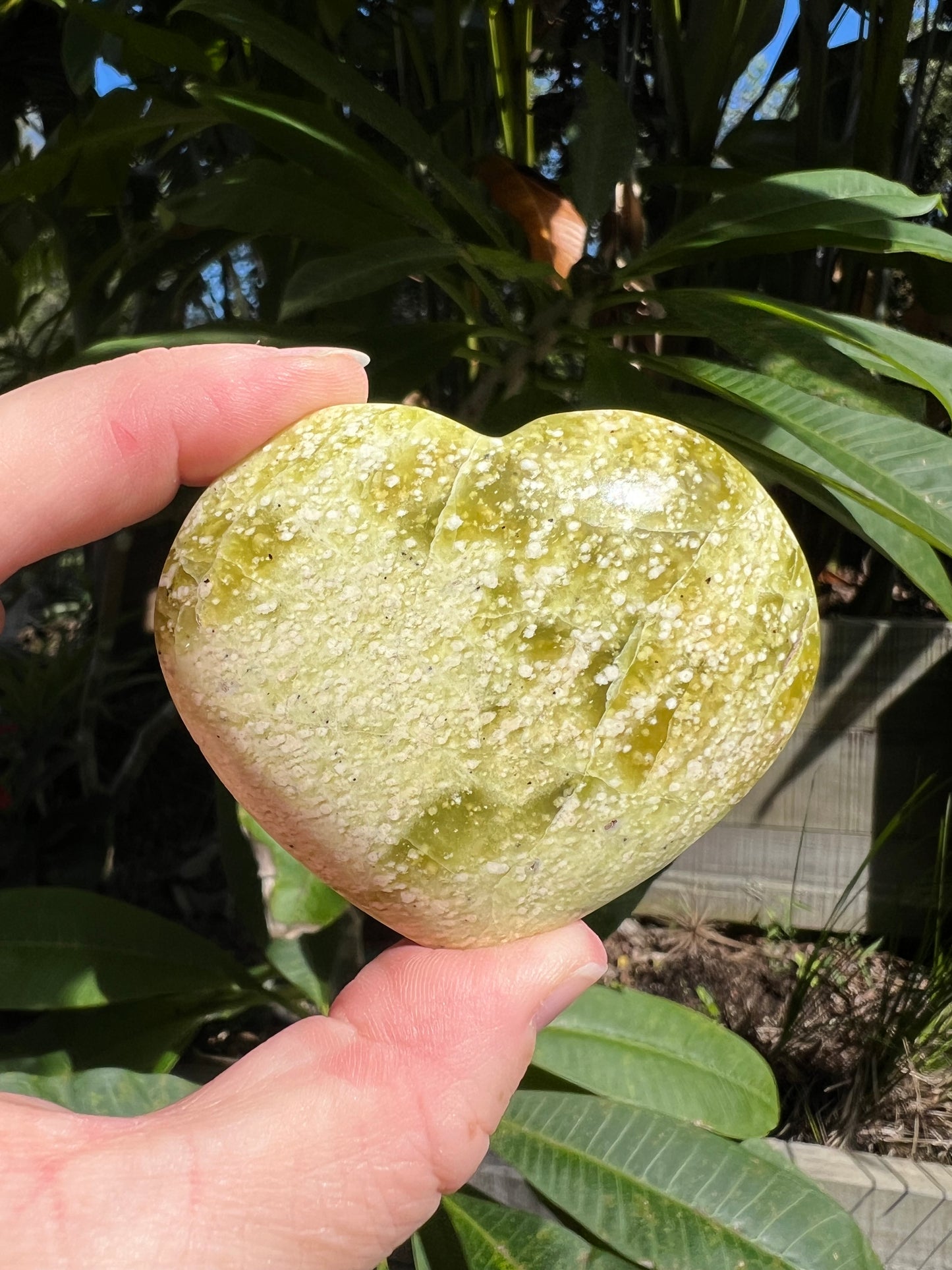 Serpentine Heart