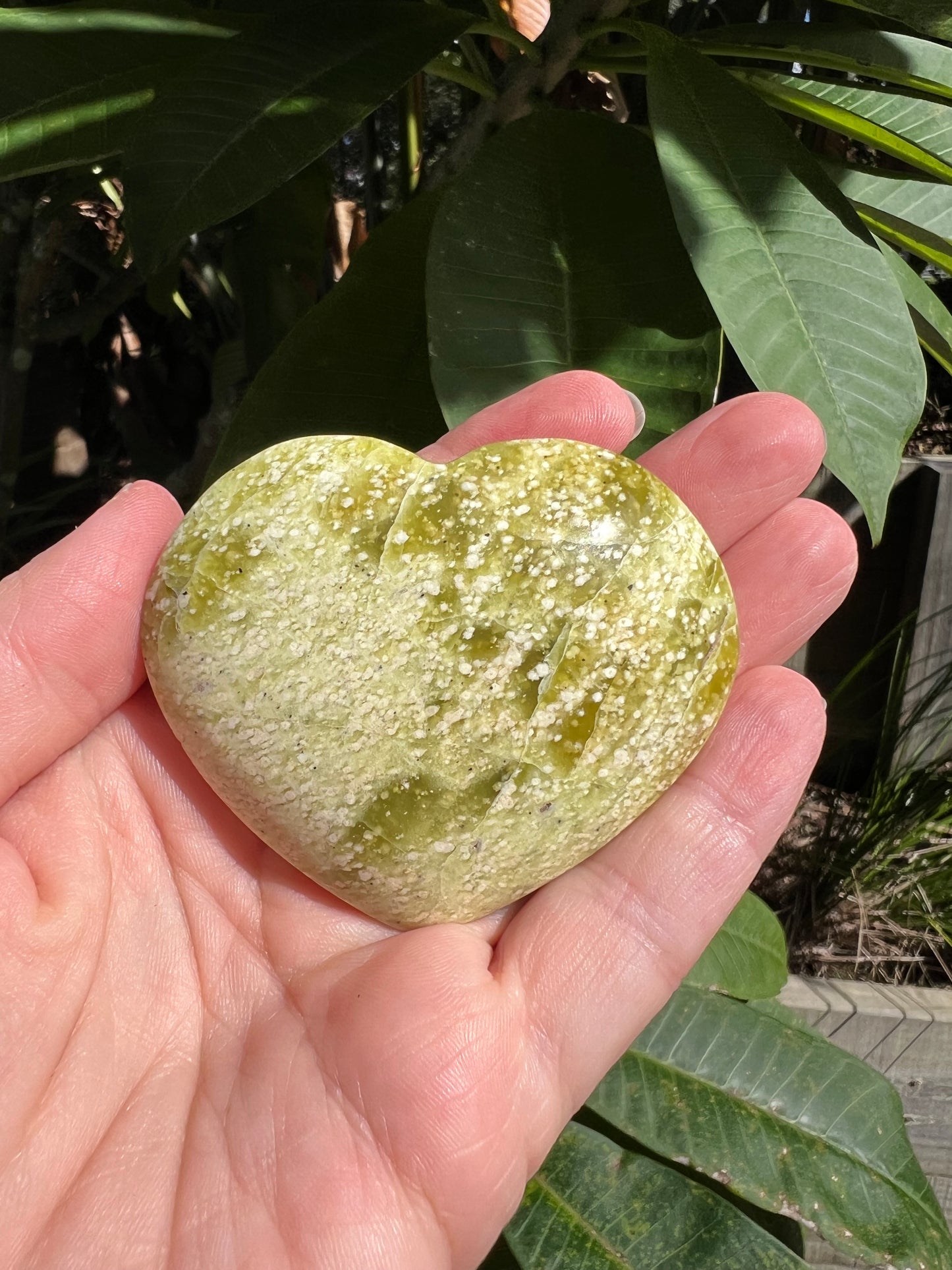 Serpentine Heart