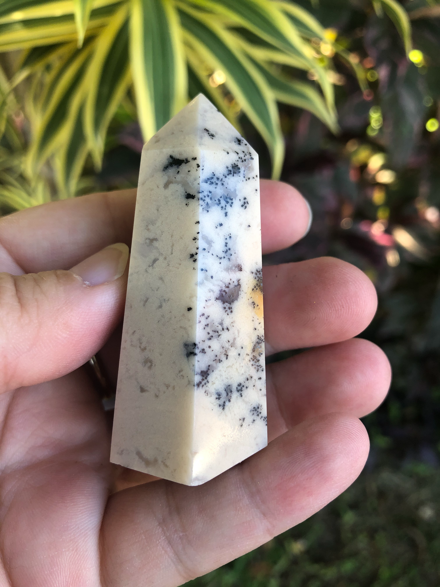 Ocean Jasper Tower